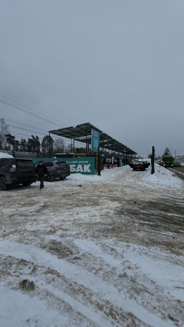 подари елке вторую жизнь, акция, мегабак, Алексей третьяков, МинЖКХ,