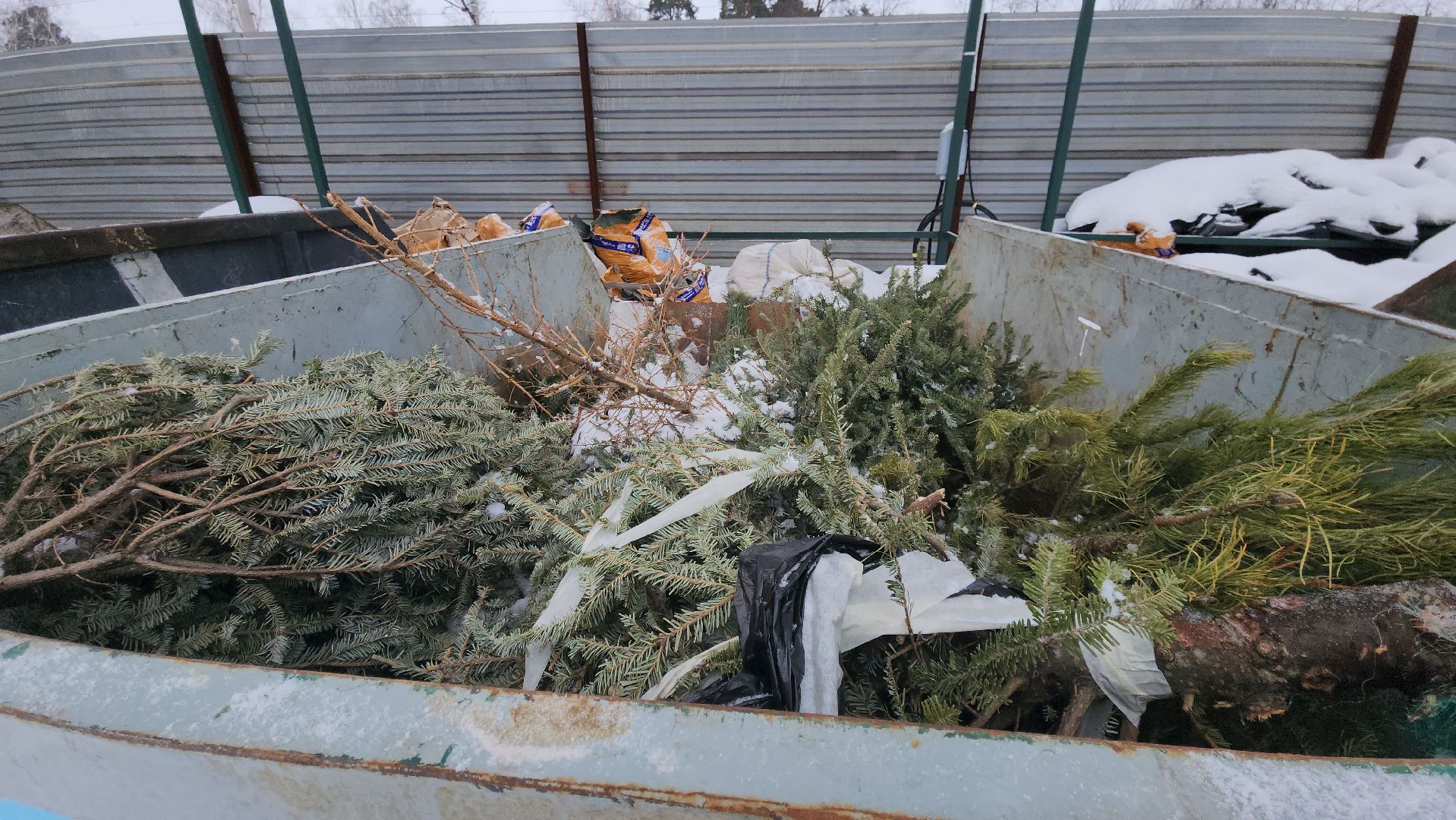 подари елке вторую жизнь, акция, мегабак, Алексей третьяков, МинЖКХ,