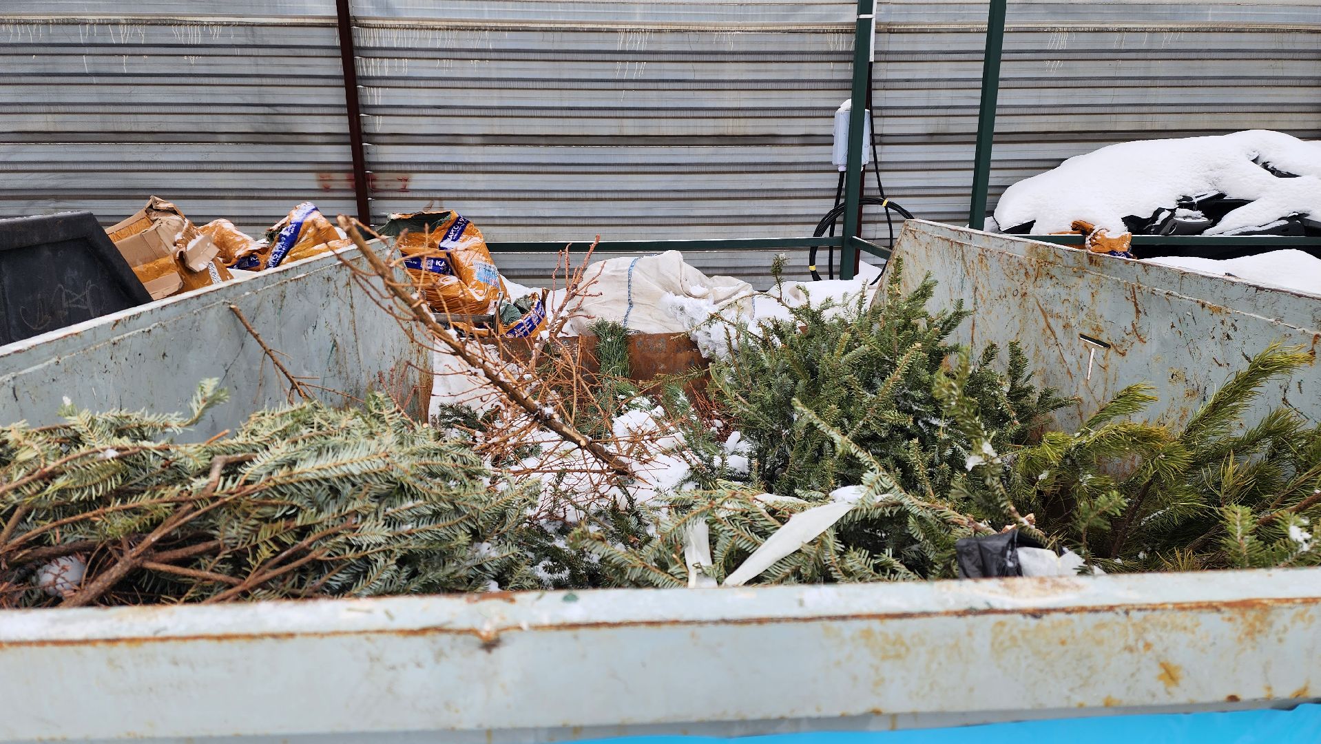 подари елке вторую жизнь, акция, мегабак, Алексей третьяков, МинЖКХ,