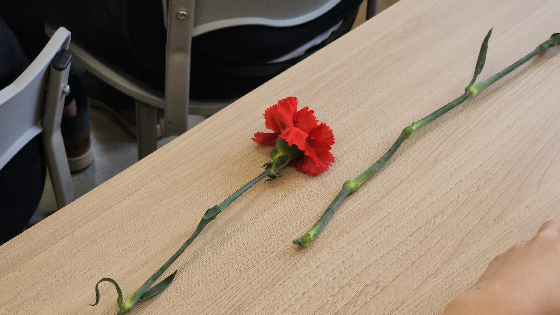 кашира, парта героя, школа 9, иван носков, сво, штурмовой отряд шторм,