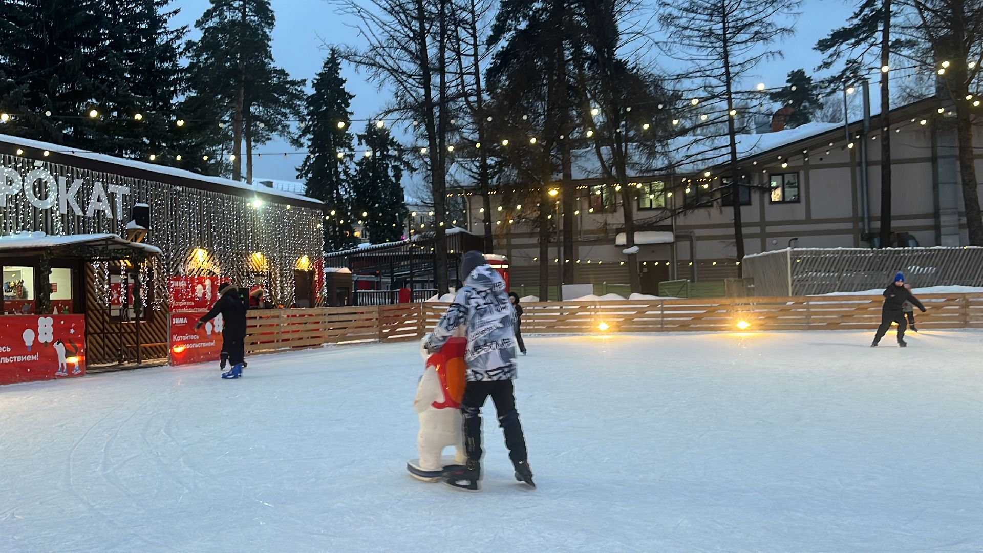 парк пехорка, парки балашихи, каток в парке, коньки,