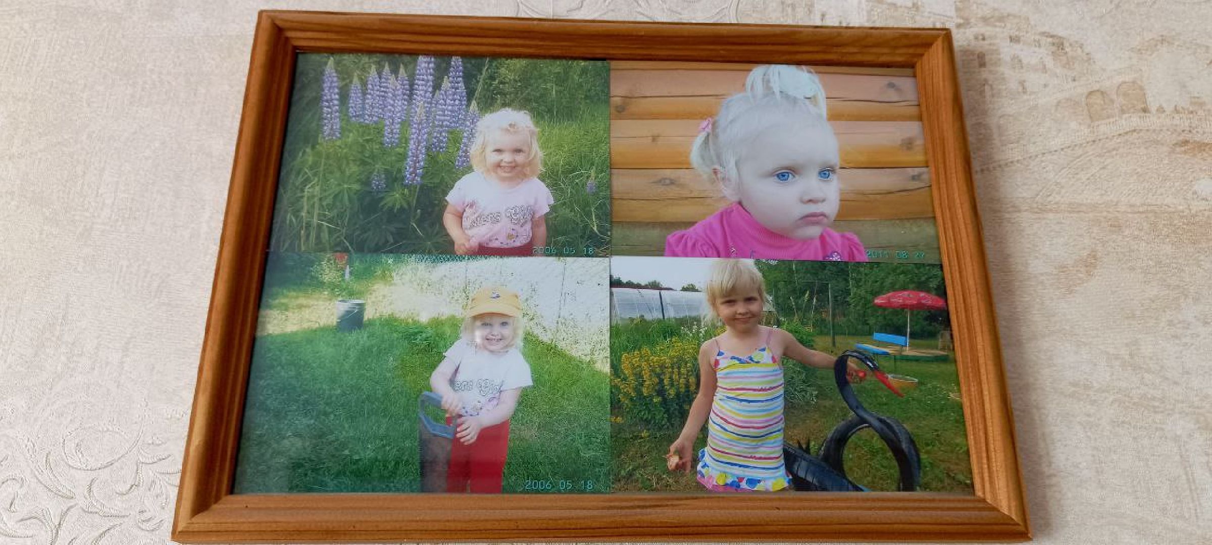 Дмитров, СВО, Глава Дмитровского округа,