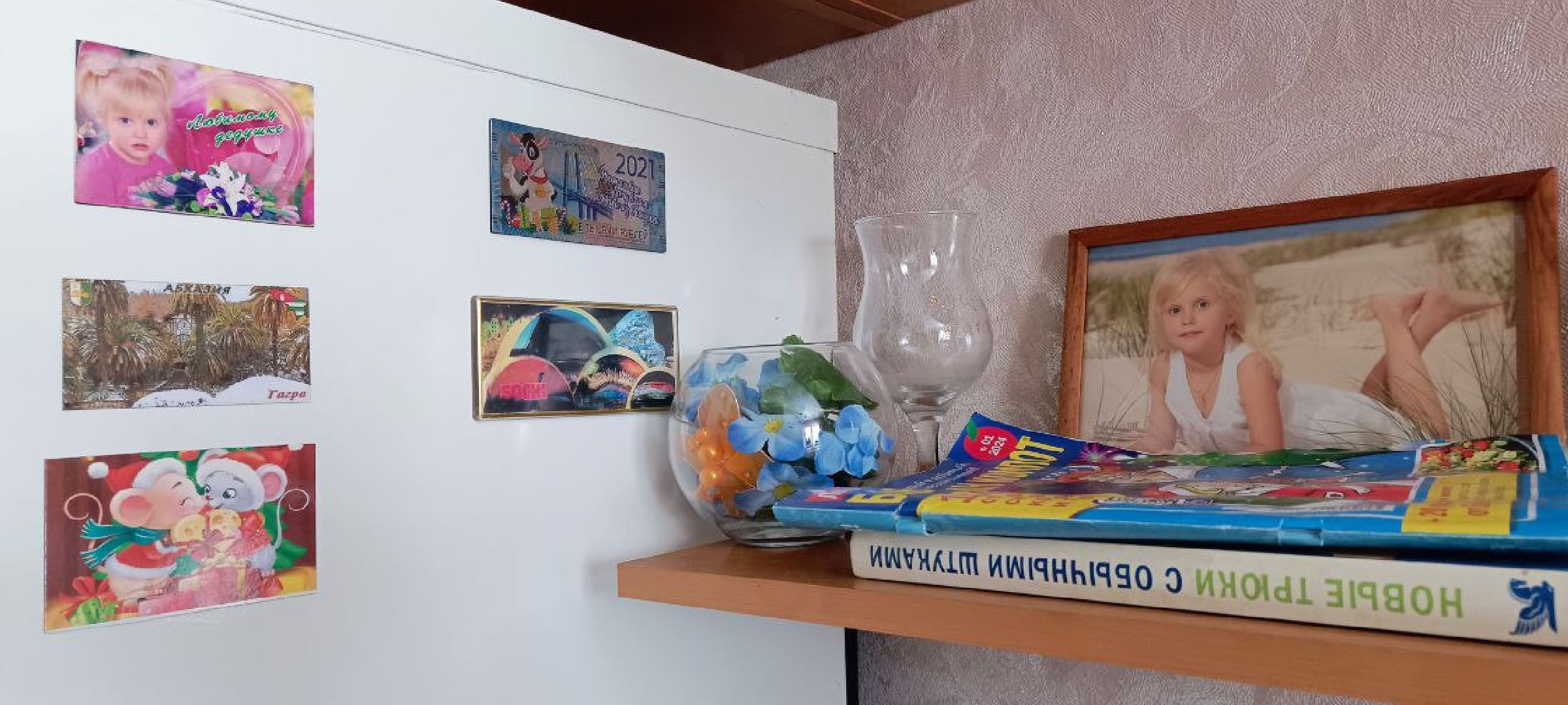 Дмитров, СВО, Глава Дмитровского округа,