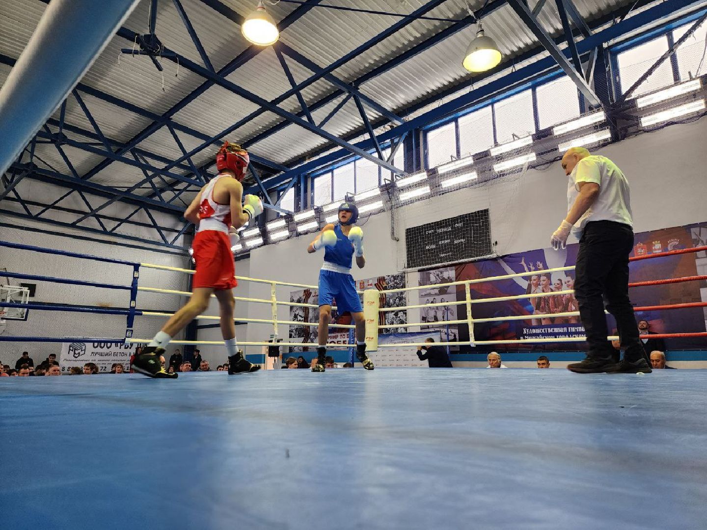 можайск, можайский городской округ, подмосковье, бокс, первенство московской области, спорт, соревнования,