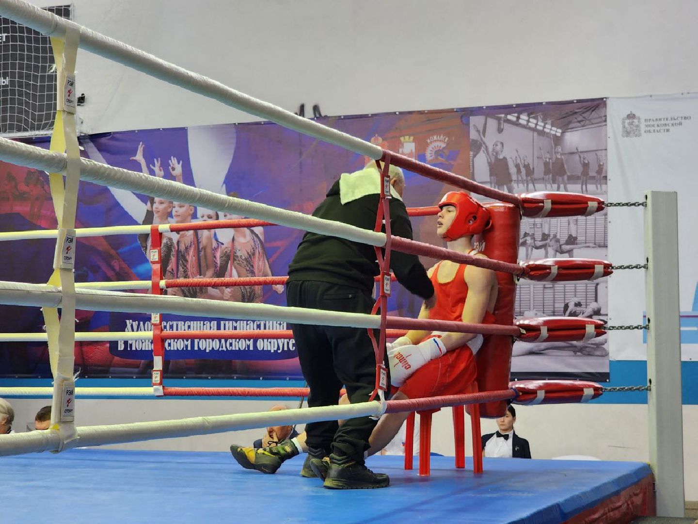 можайск, можайский городской округ, подмосковье, бокс, первенство московской области, спорт, соревнования,