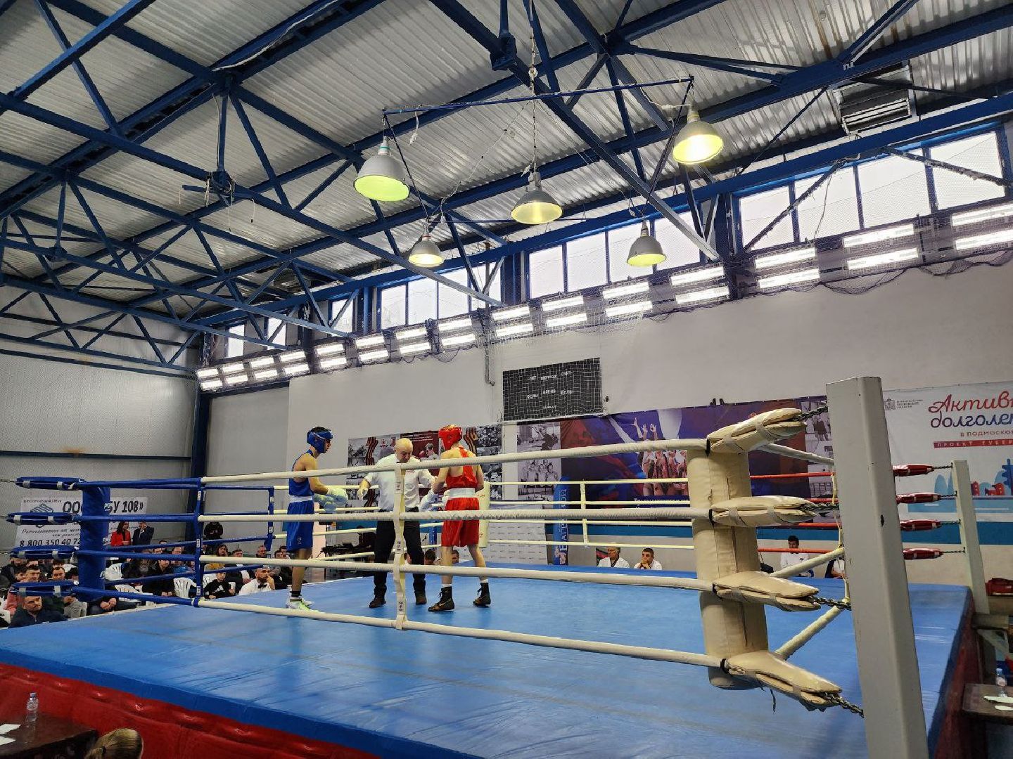 можайск, можайский городской округ, подмосковье, бокс, первенство московской области, спорт, соревнования,
