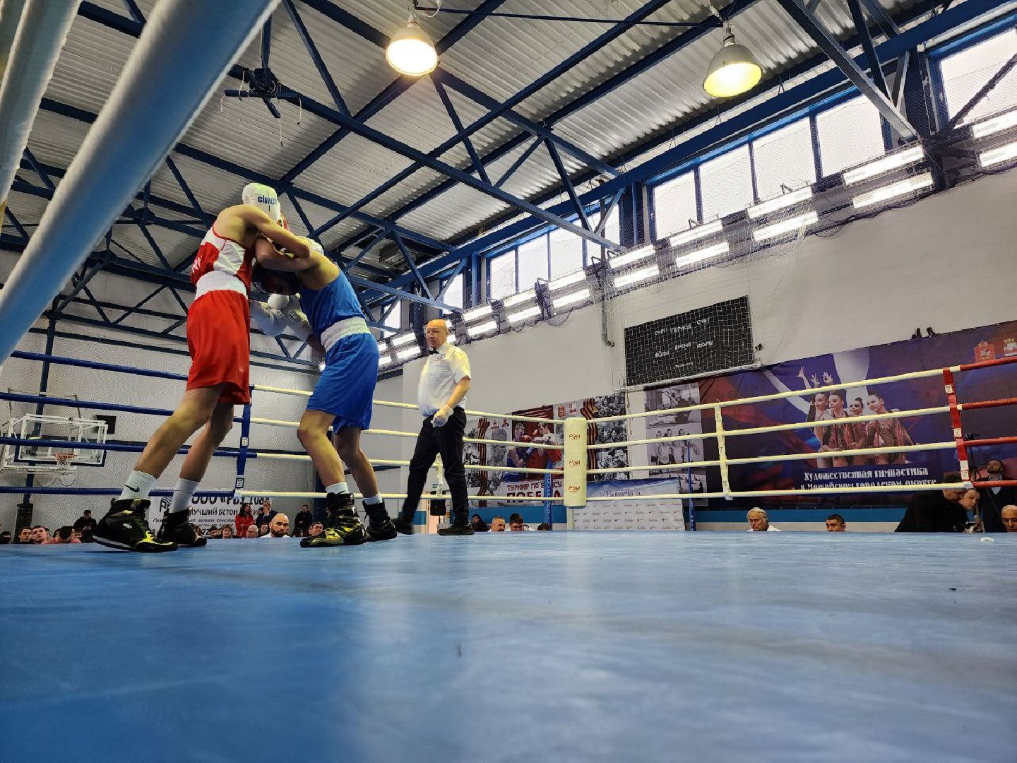 можайск, можайский городской округ, подмосковье, бокс, первенство московской области, спорт, соревнования,