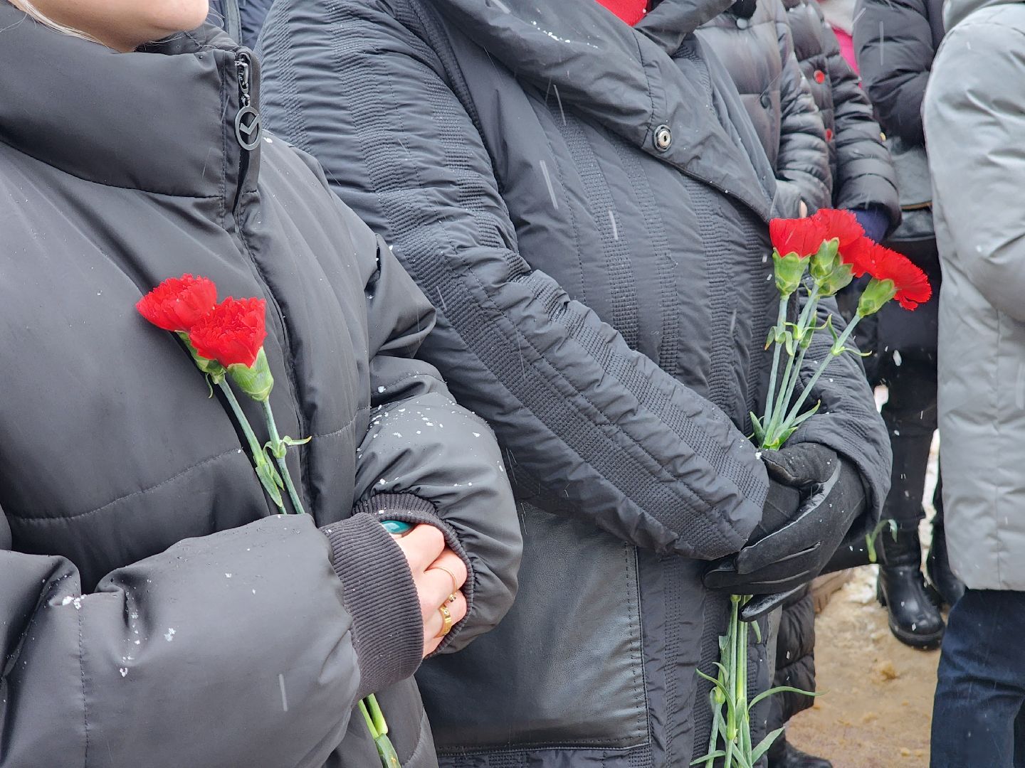 23 февраля, день защитника отечества, фрязино, митинг,