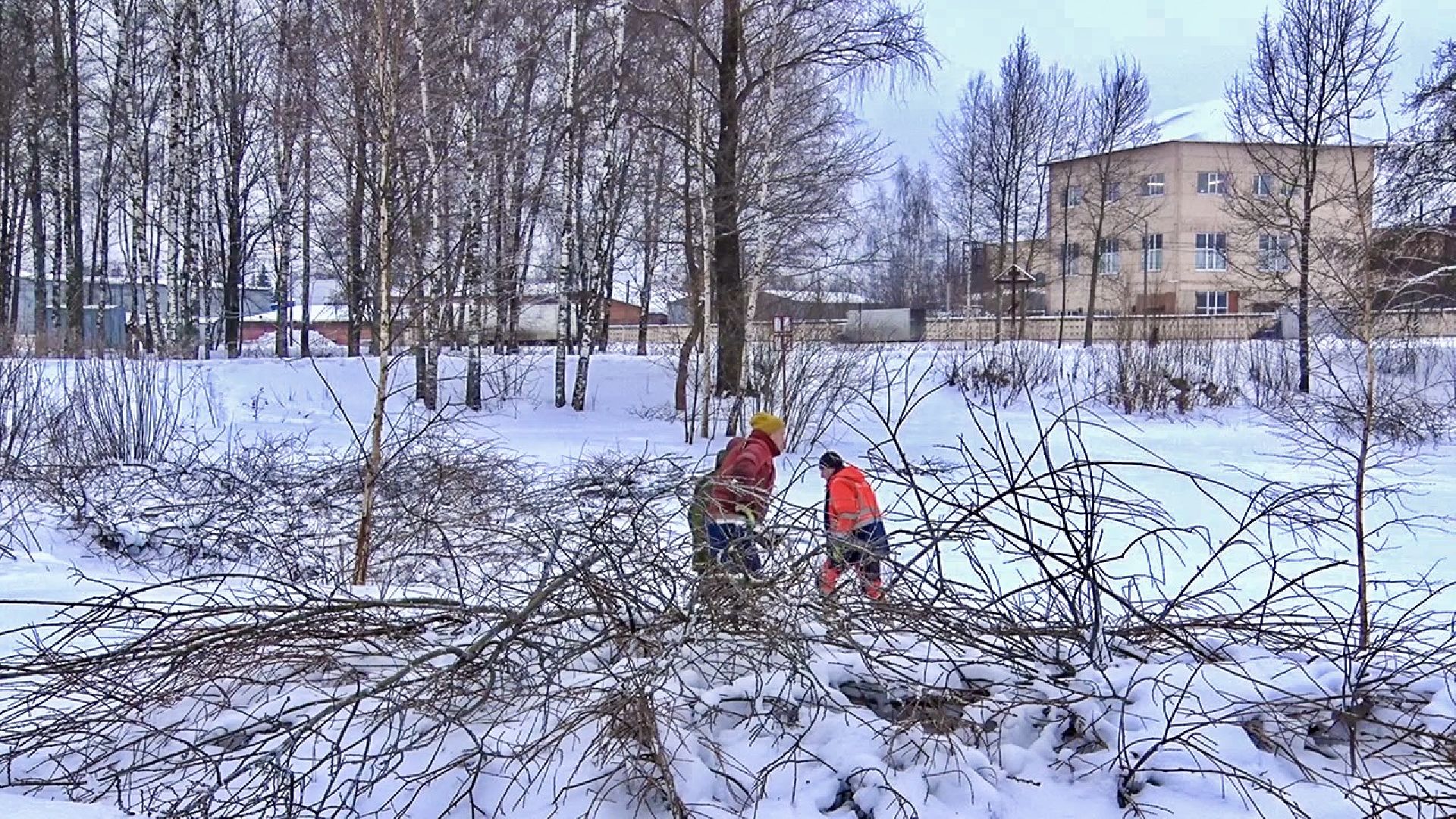 Клин, общество, волонтеры, благоустройство,