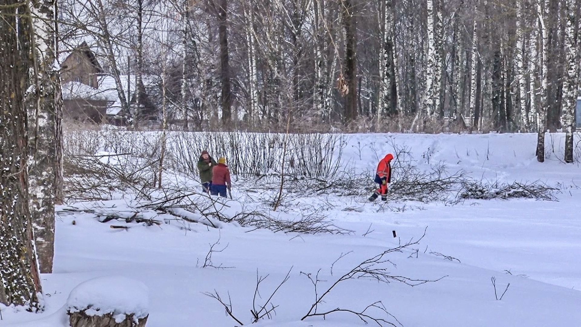 Клин, общество, волонтеры, благоустройство,