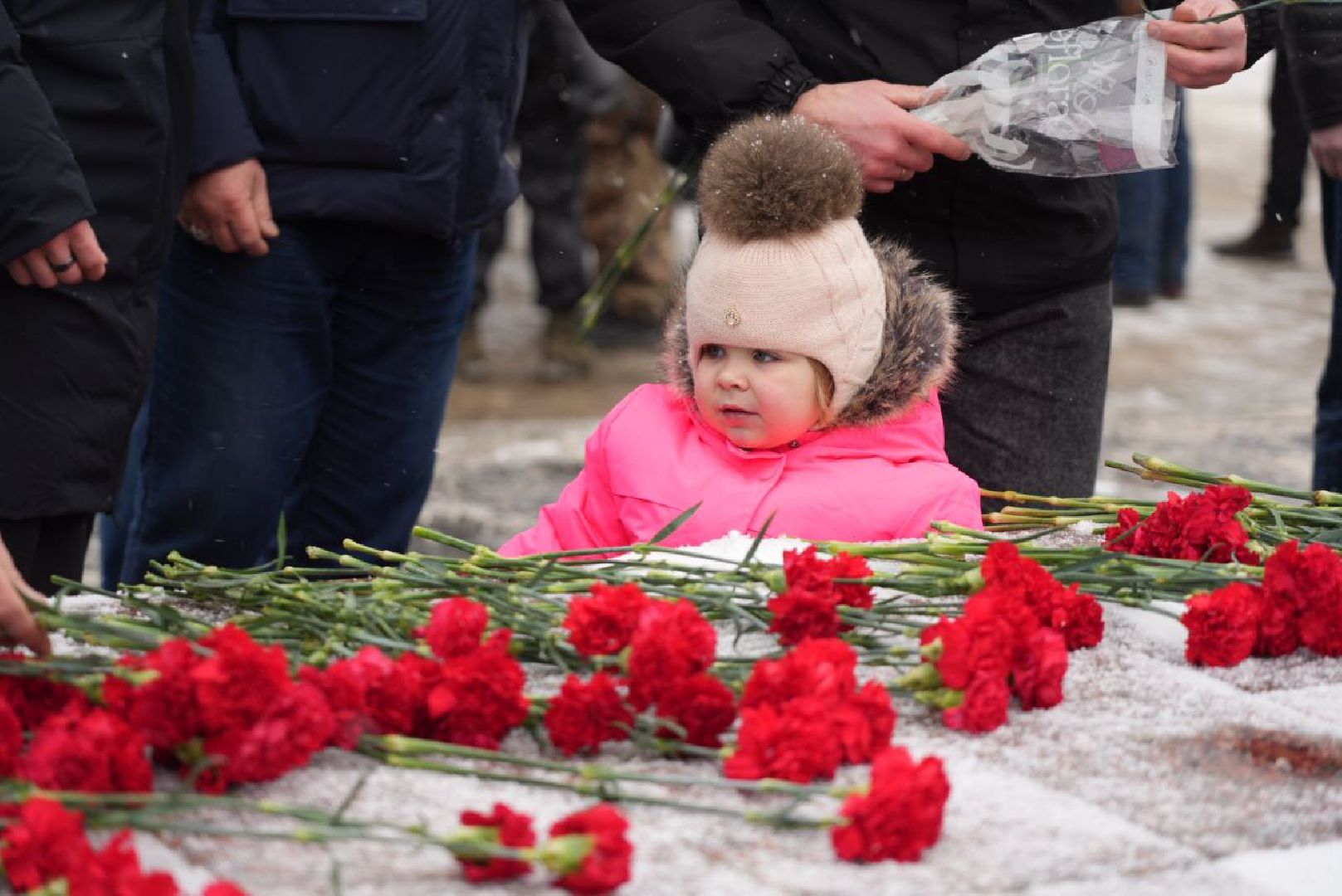 Сергиев Посад, 23 февраля, Память, СВО, Герои, Памятный митинг, Вечный огонь,День защитника Отечества,