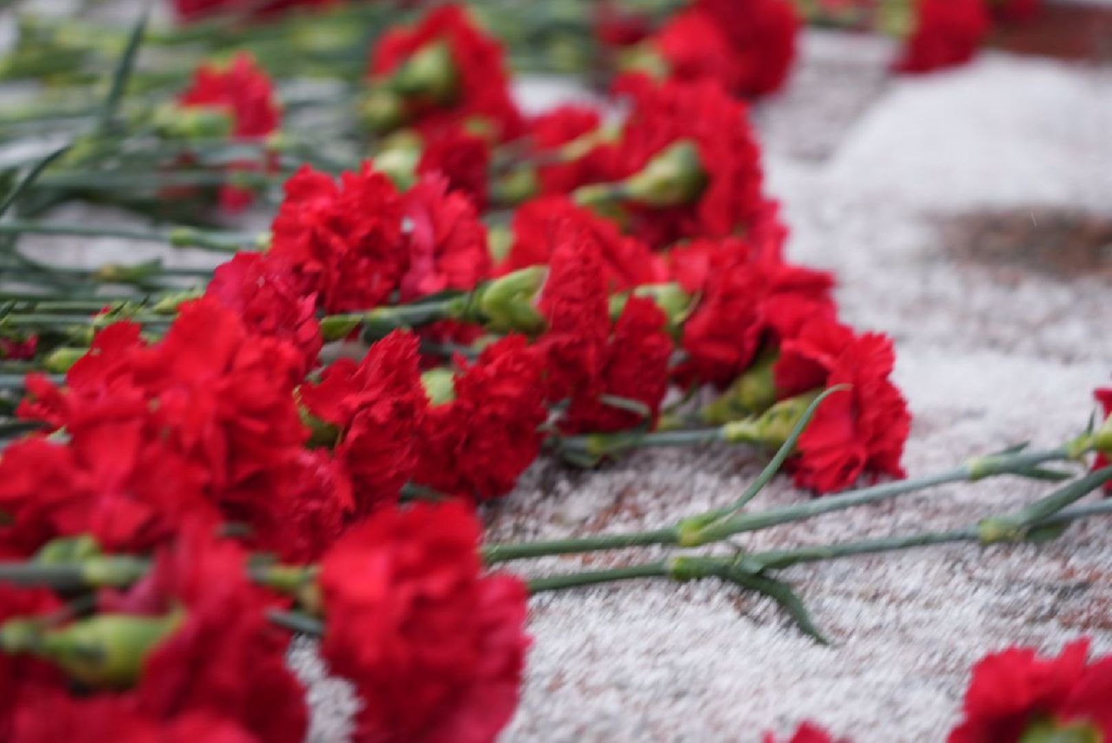 Сергиев Посад, 23 февраля, Память, СВО, Герои, Памятный митинг, Вечный огонь,День защитника Отечества,