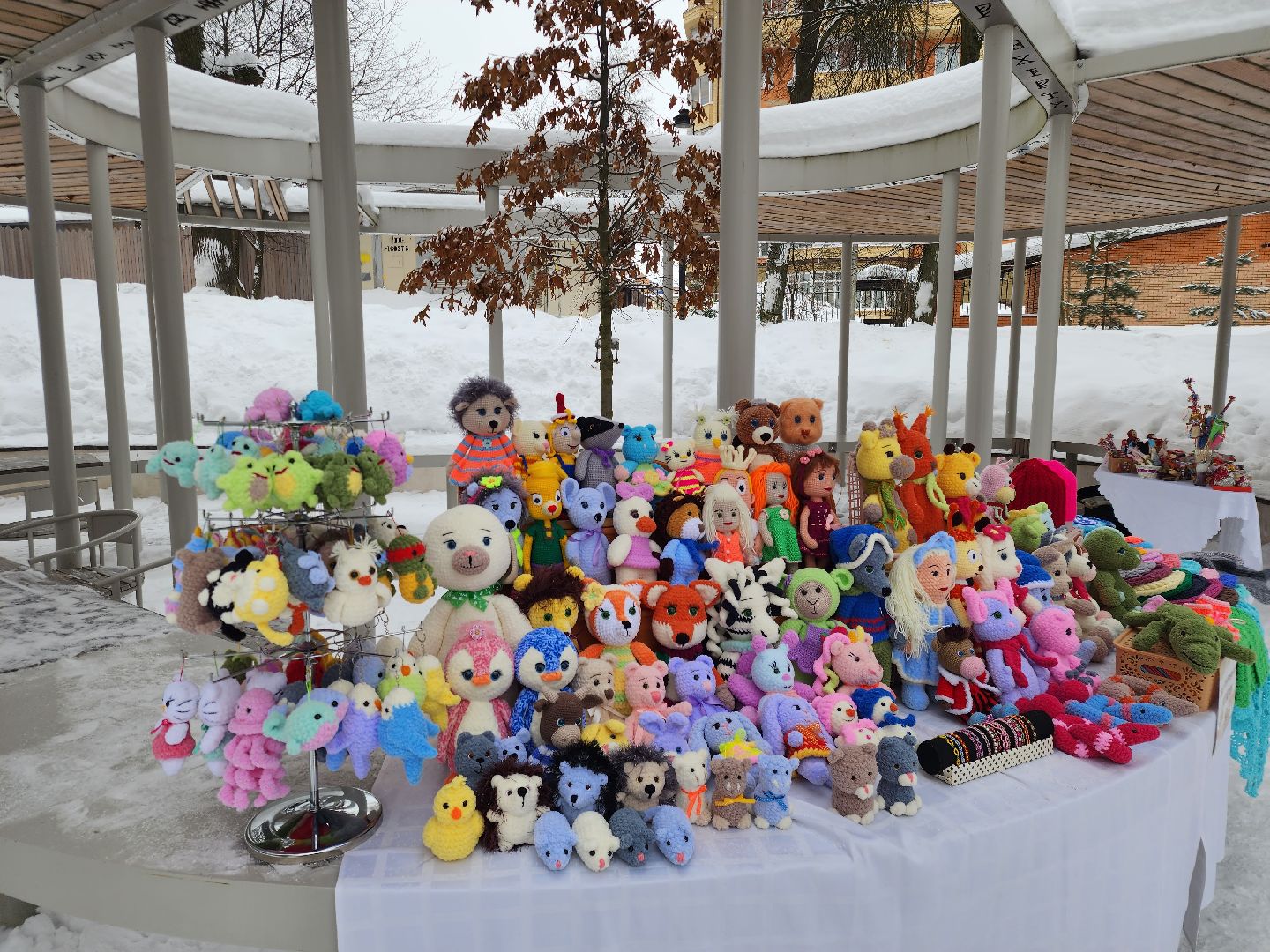 Звенигород, Культура, День защитника Отечества,