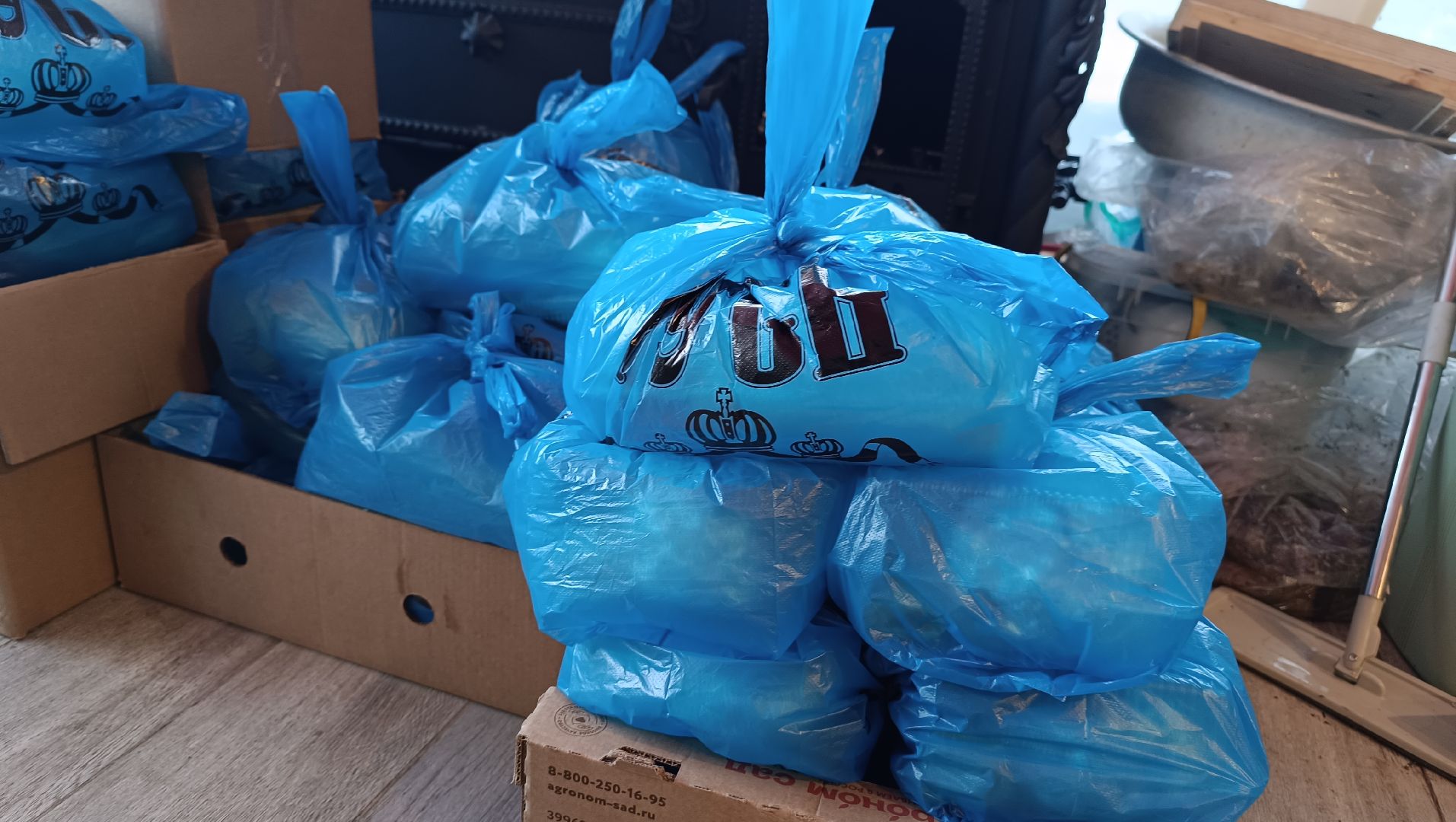 волонтер, гуманитарная помощь, лобня,