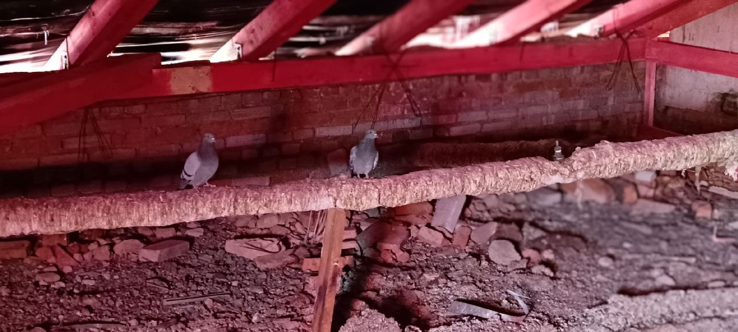 Дмитров, Ремонт кровель, МинЖКХ,