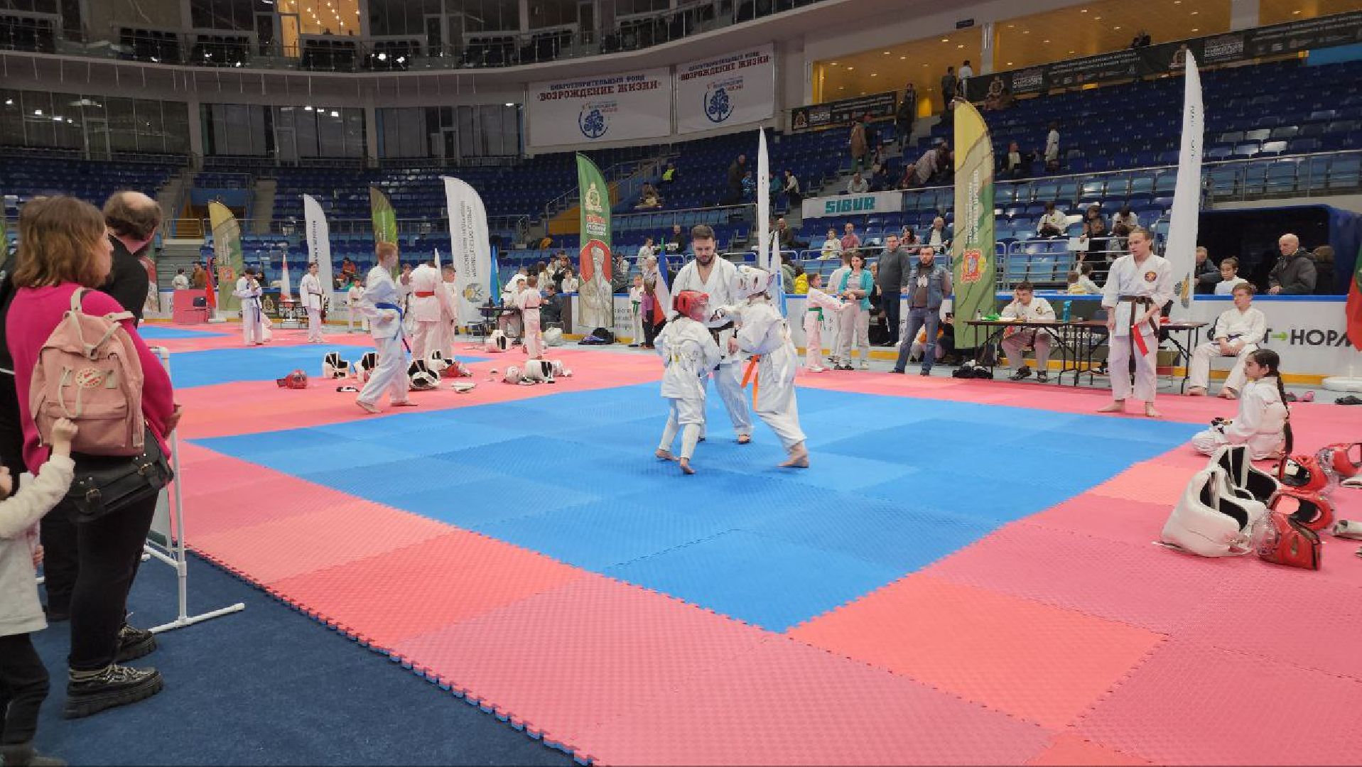 мытищи, арена мытищи, кубок николая японского,