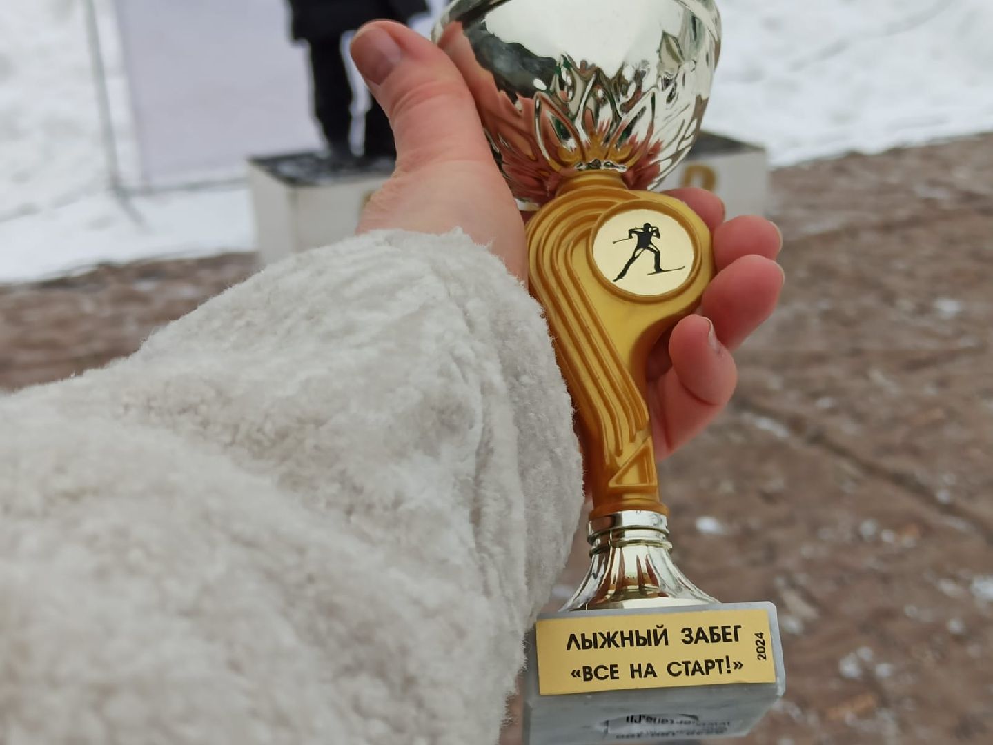 пушкино, лыжная гонка, день защитника отечества, соревнования,