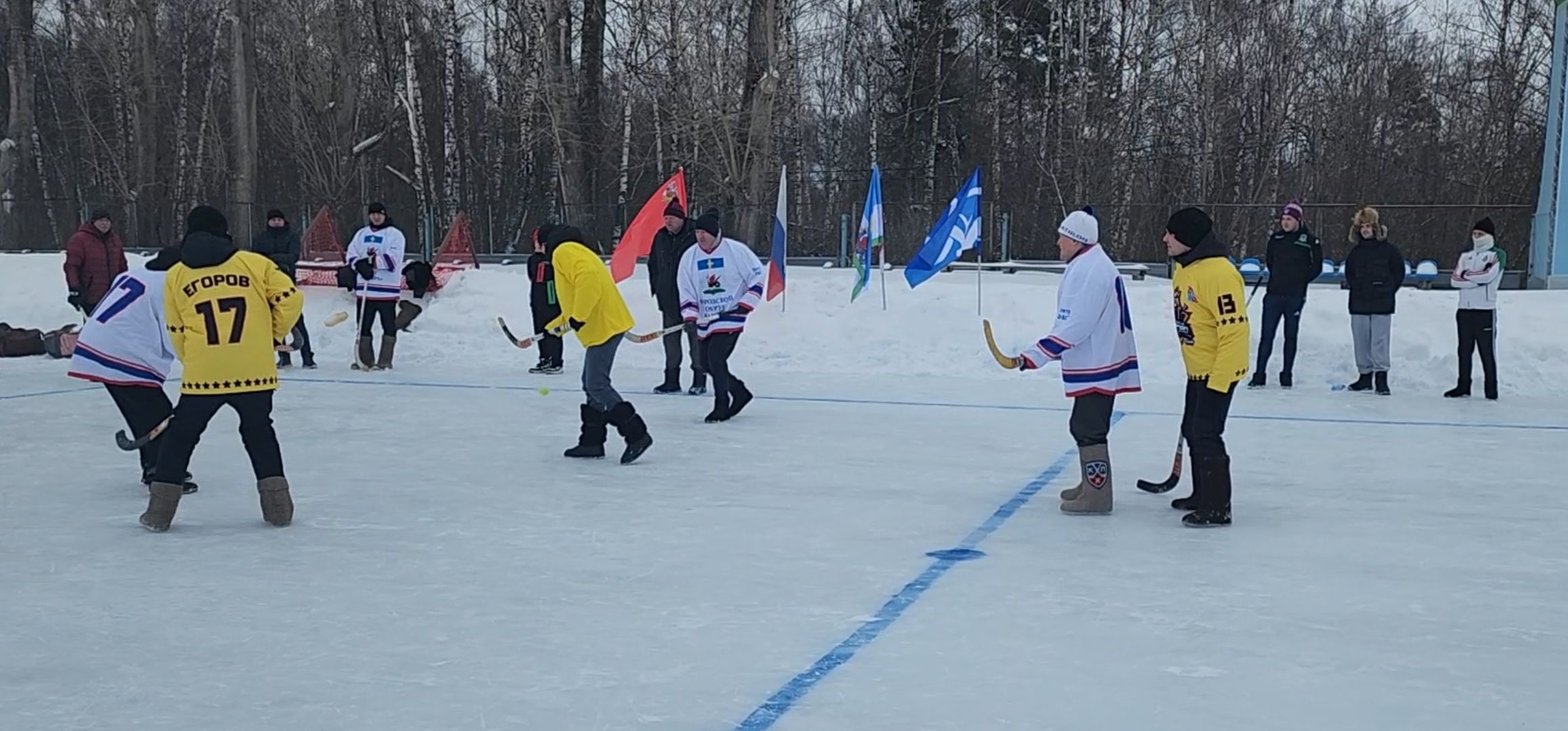 кашира, день защитника отечества, хоккей с мячом, валенки, соревнования, ветераны руново, корыстово, любители,