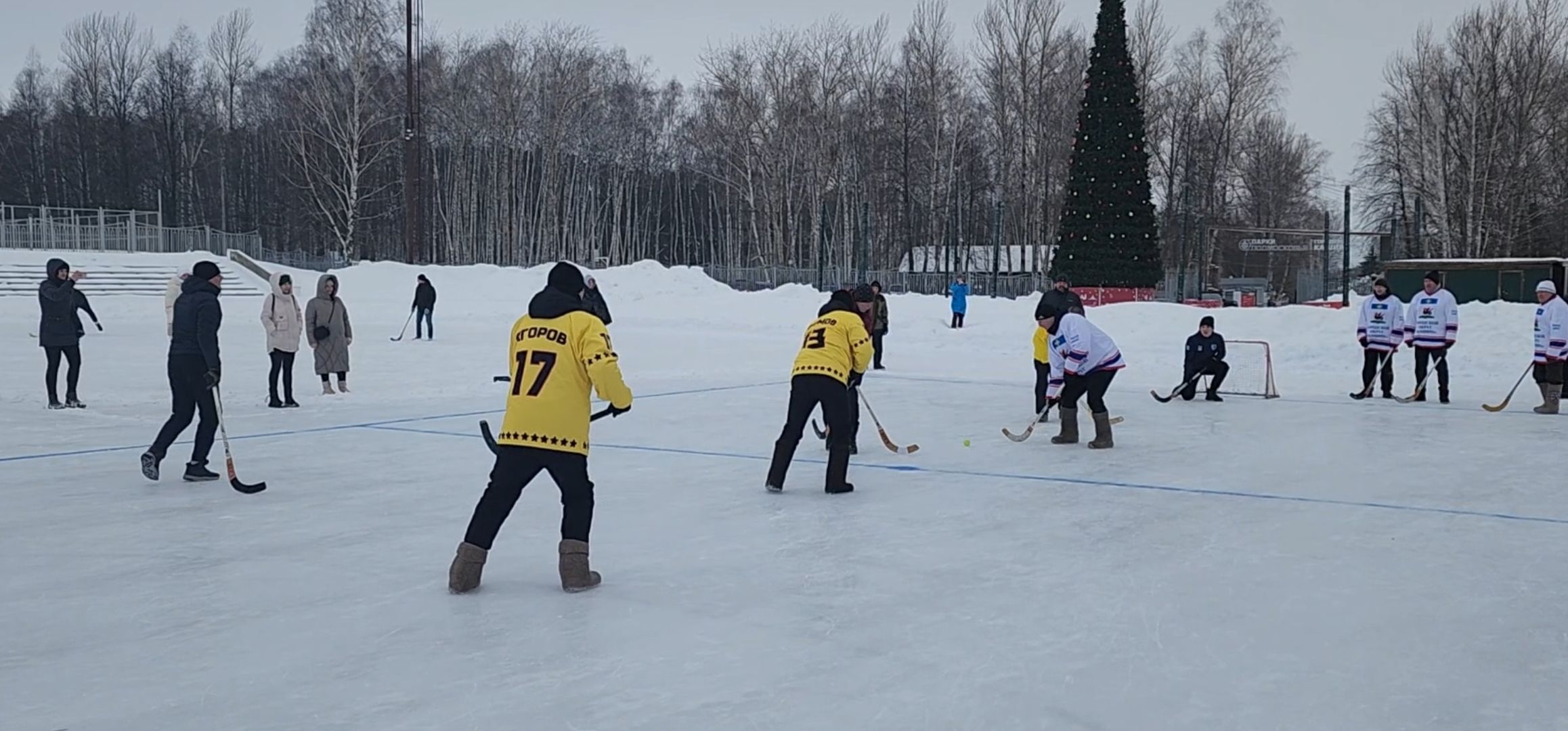 кашира, день защитника отечества, хоккей с мячом, валенки, соревнования, ветераны руново, корыстово, любители,