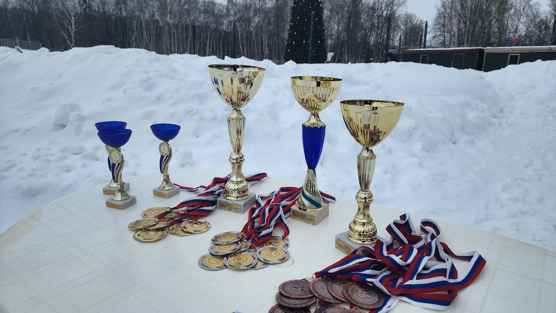 кашира, день защитника отечества, хоккей с мячом, валенки, соревнования, ветераны руново, корыстово, любители,