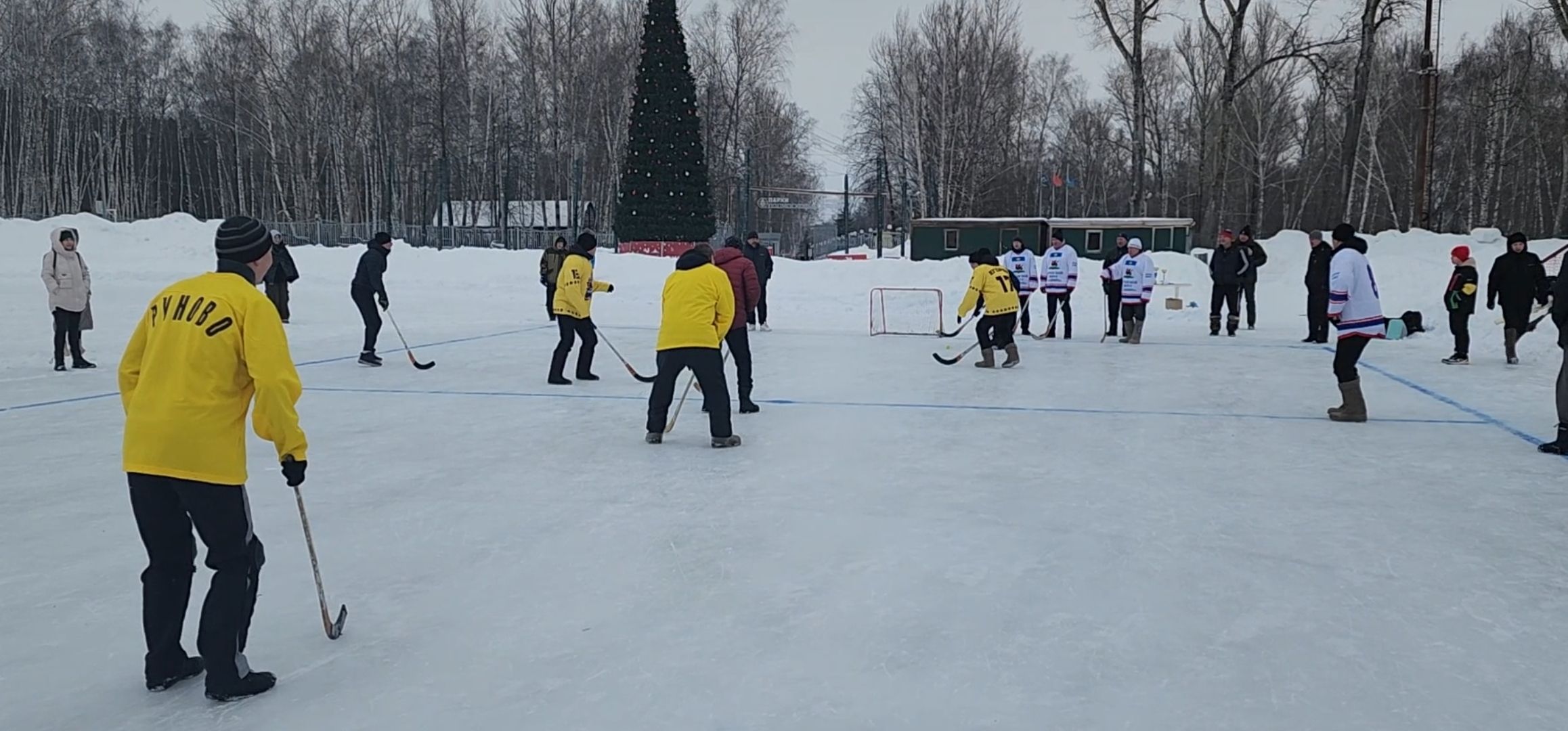 кашира, день защитника отечества, хоккей с мячом, валенки, соревнования, ветераны руново, корыстово, любители,