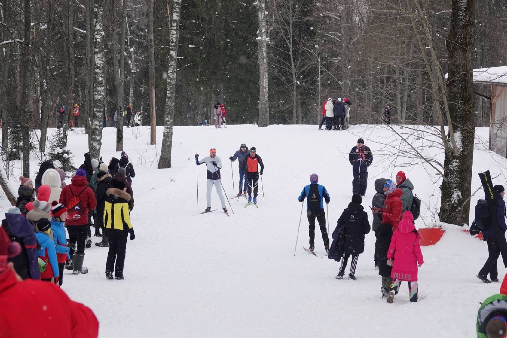 Пересвет, Гонка Легкова, Лыжи, Лыжный спорт, Всероссийские соревнования, Ольга Вяльбе, Александр Легков, Александр Большунов, Карим Халили, Олимпийские чемпионы, Спорт, Победы, Золото, Медали,Турнир,