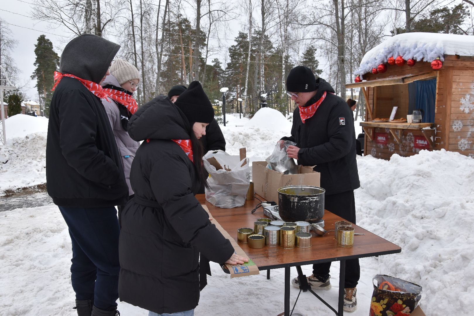разрешите поздравить, парк, парк Крестов Брод, ДК Косякова, Рошаль, день защитника отечества,