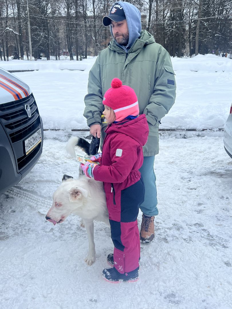 День защитника отечества, праздник, концерт, патриотические организации, мероприятие, сквер 28 квартал, Жуковский,
