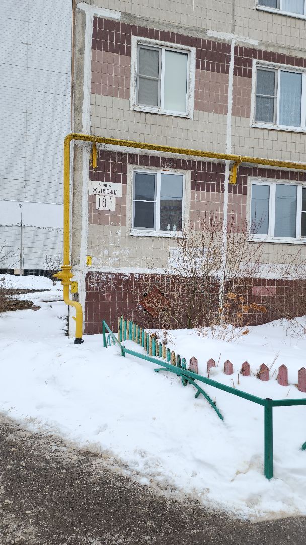 электросталь, мой город, выборы, выборы 2024, выборы президента, выборы президента 2024, жители города, информаторы, избиратели, избиратель, избирательная кампания, избирательный участок,