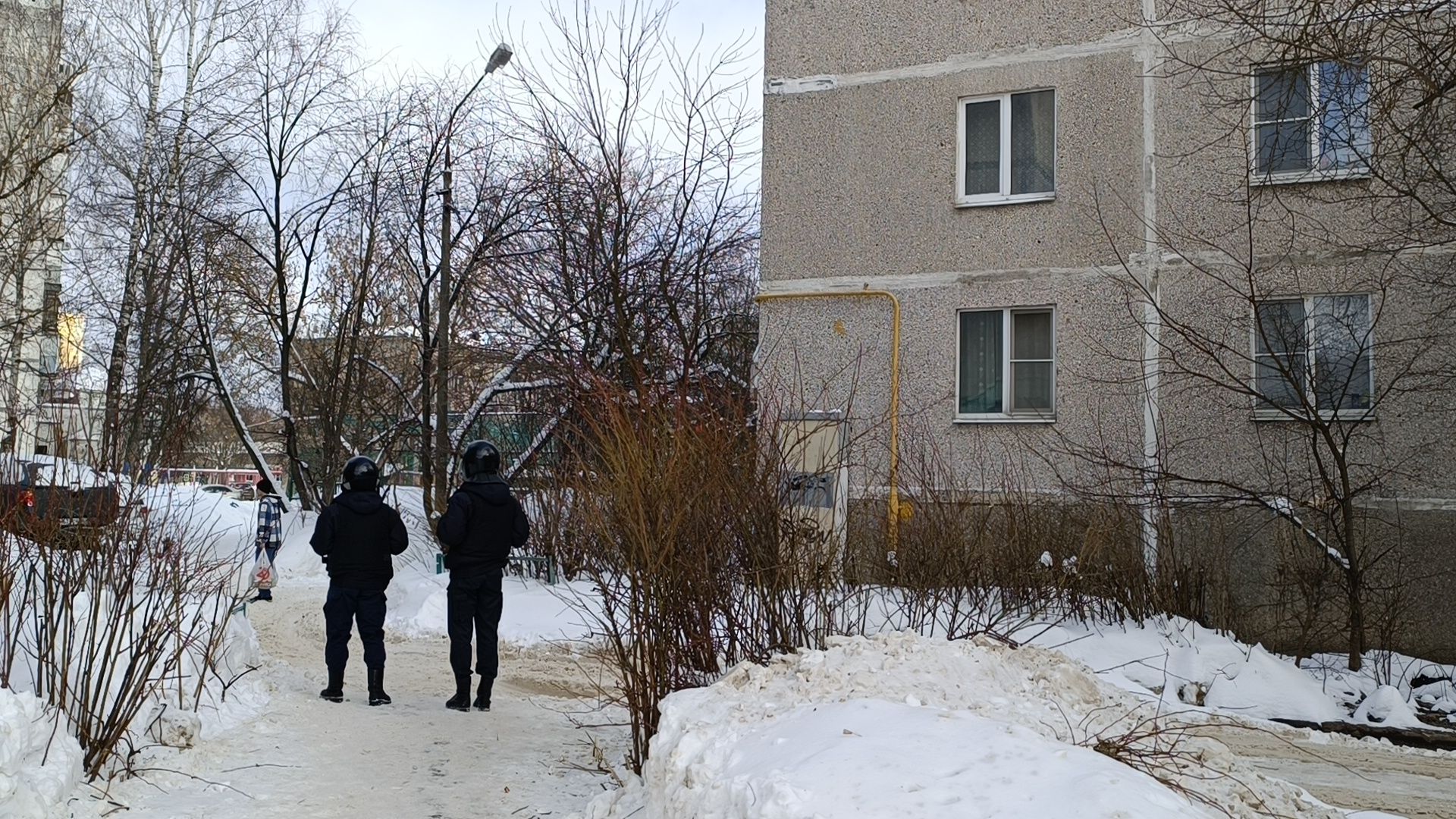 чп, лобня, мвд,