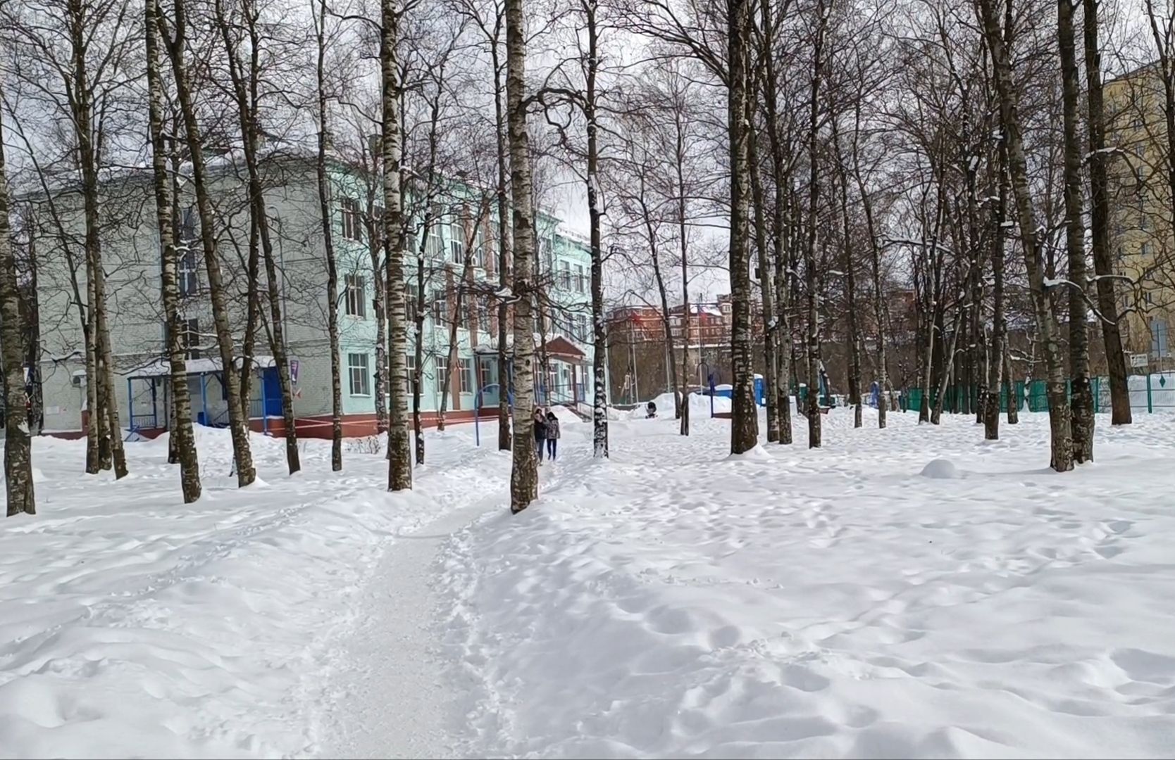 чп, лобня, мвд,