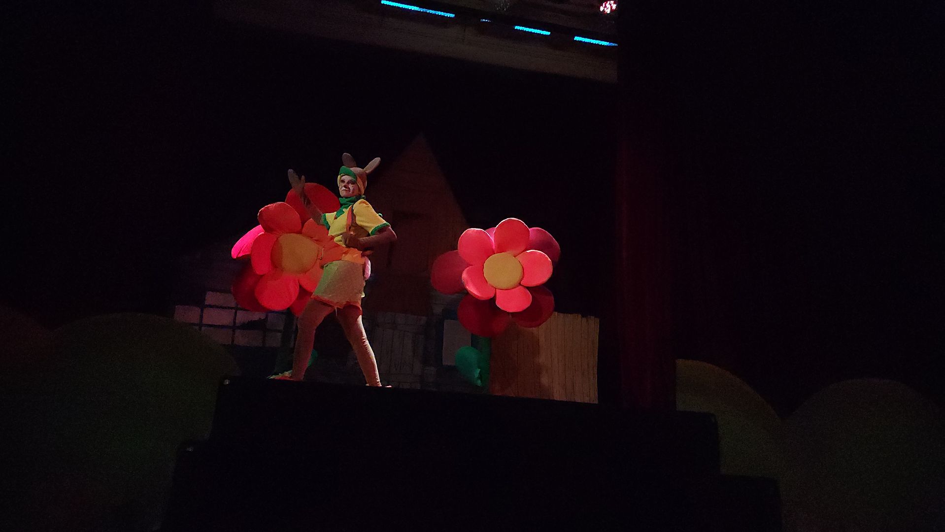 Егорьевск, Подмосковье, Московская область, пегас, театр,