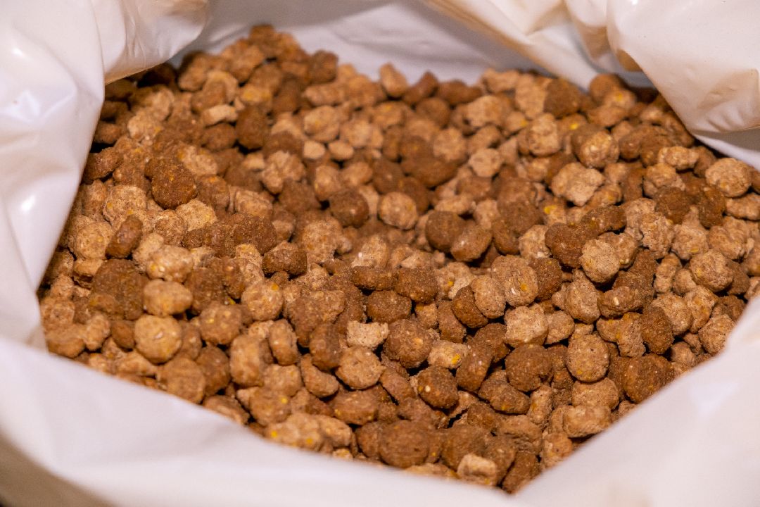 Экономика, Аквагранула, новый завод, Орехово-Зуево, губернатор, Заголовацкий, производство