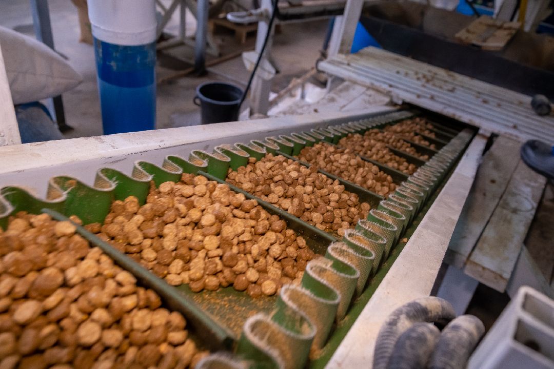 Экономика, Аквагранула, новый завод, Орехово-Зуево, губернатор, Заголовацкий, производство