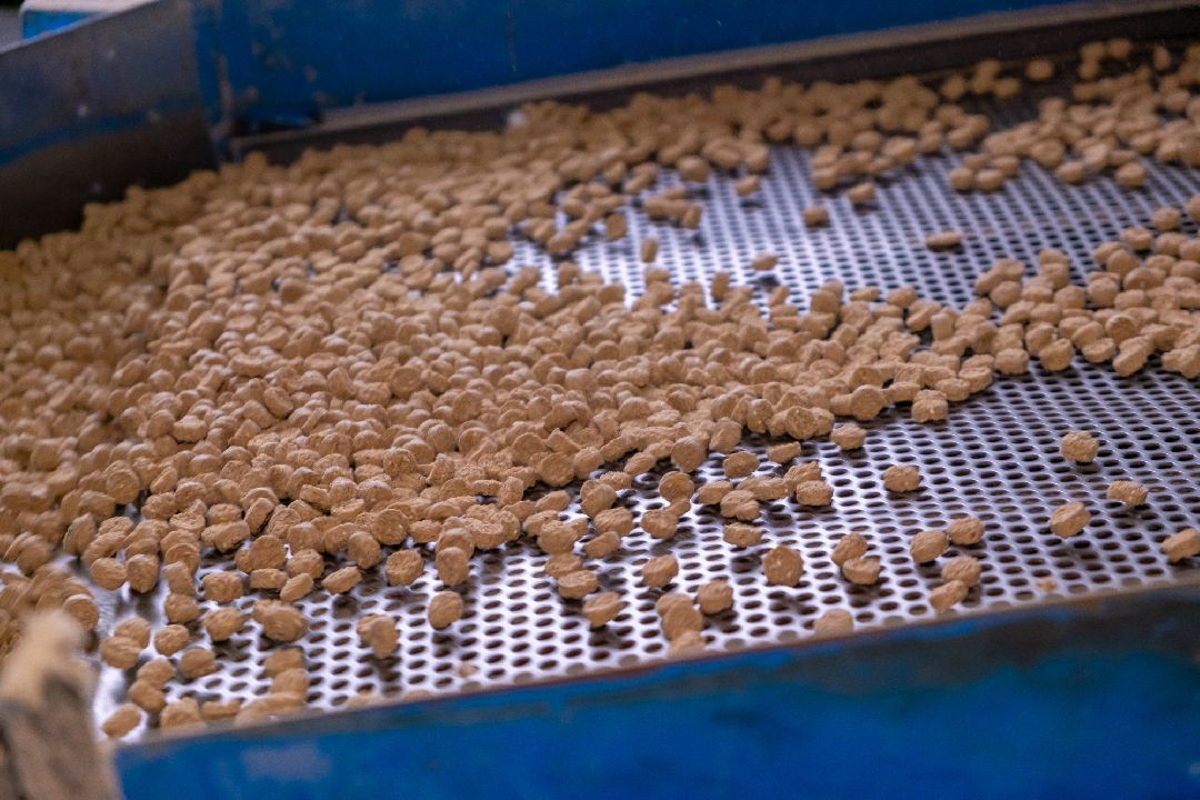 Экономика, Аквагранула, новый завод, Орехово-Зуево, губернатор, Заголовацкий, производство