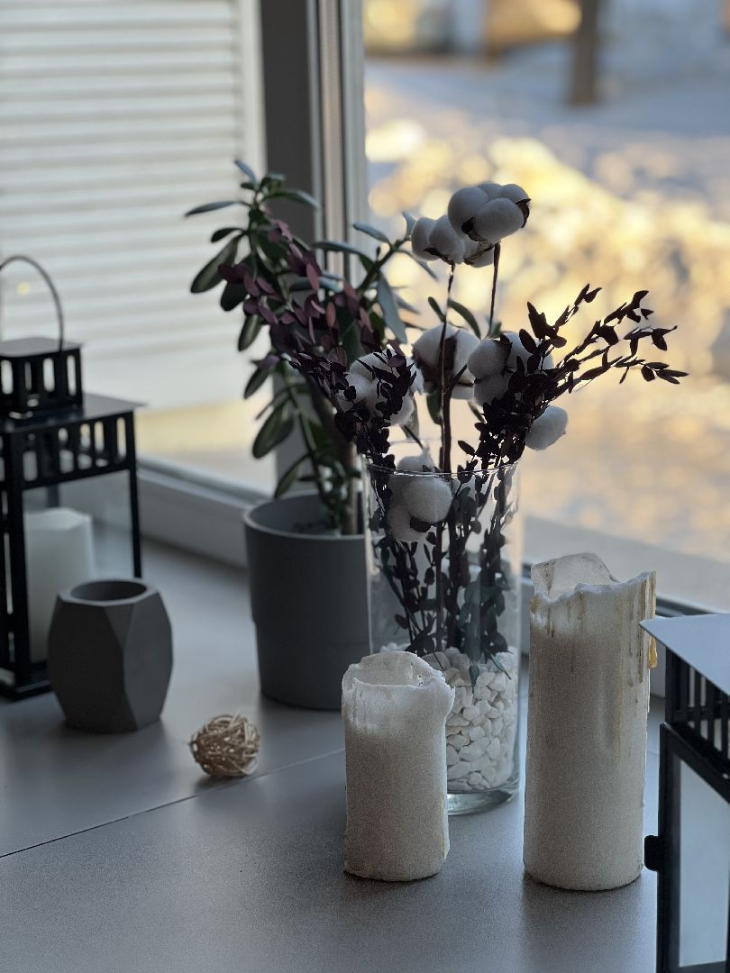 кафе, где поесть, Жуковский, обзор, мероприятия, мастермайнды, офлайн-кружки, работа для студентов, вкусно, блюда, домашняя кухня,