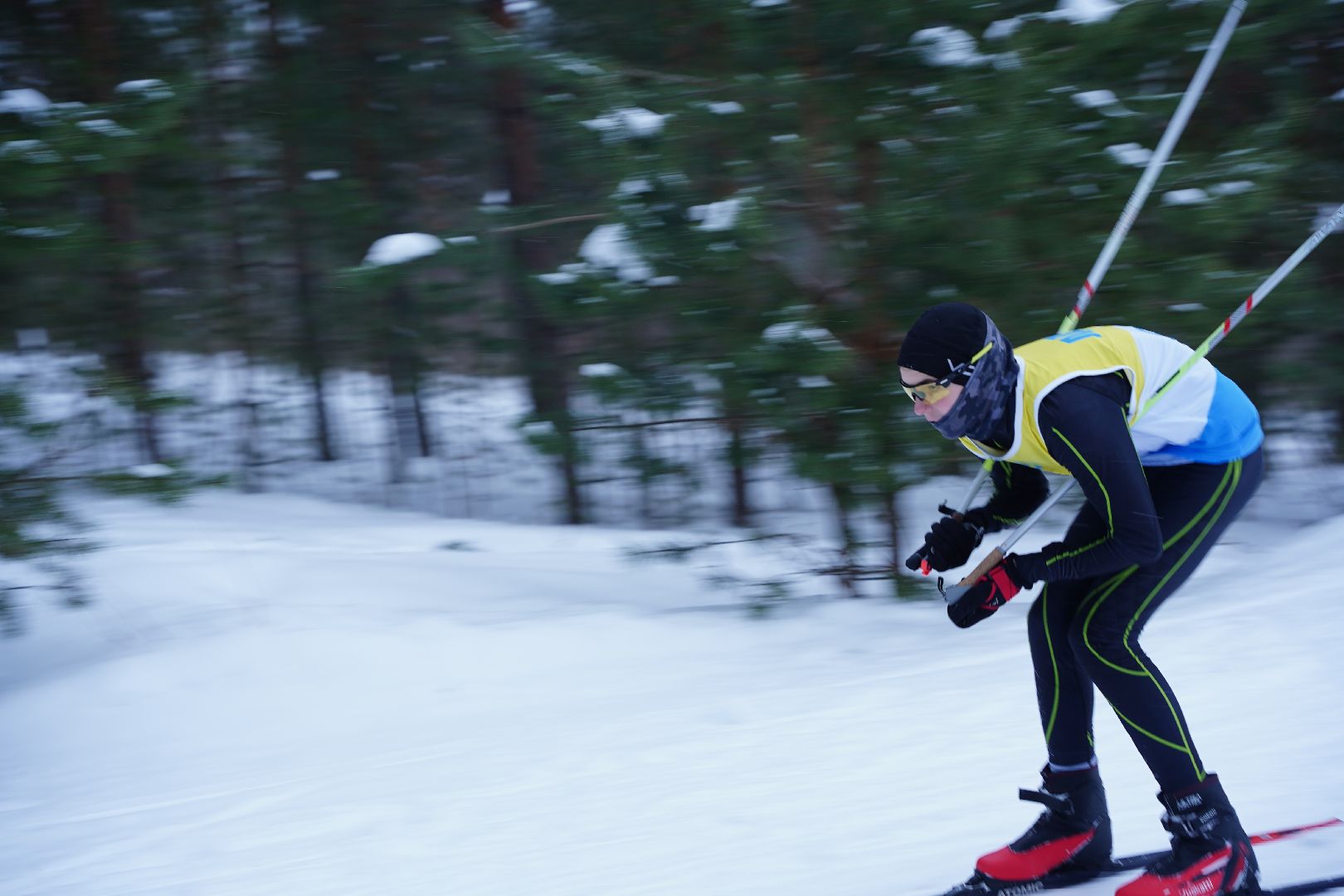 Рошаль, лыжные гонки, соревнования, соревнования памяти тренеров, спортивная школа, Большая Шатура, Егорьевск,