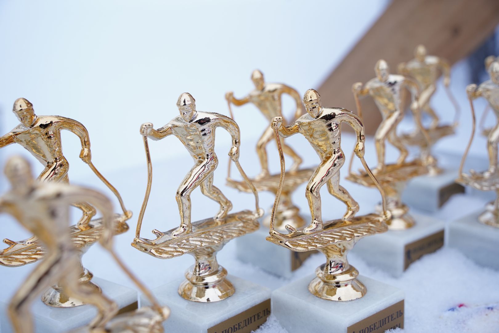 Рошаль, лыжные гонки, соревнования, соревнования памяти тренеров, спортивная школа, Большая Шатура, Егорьевск,