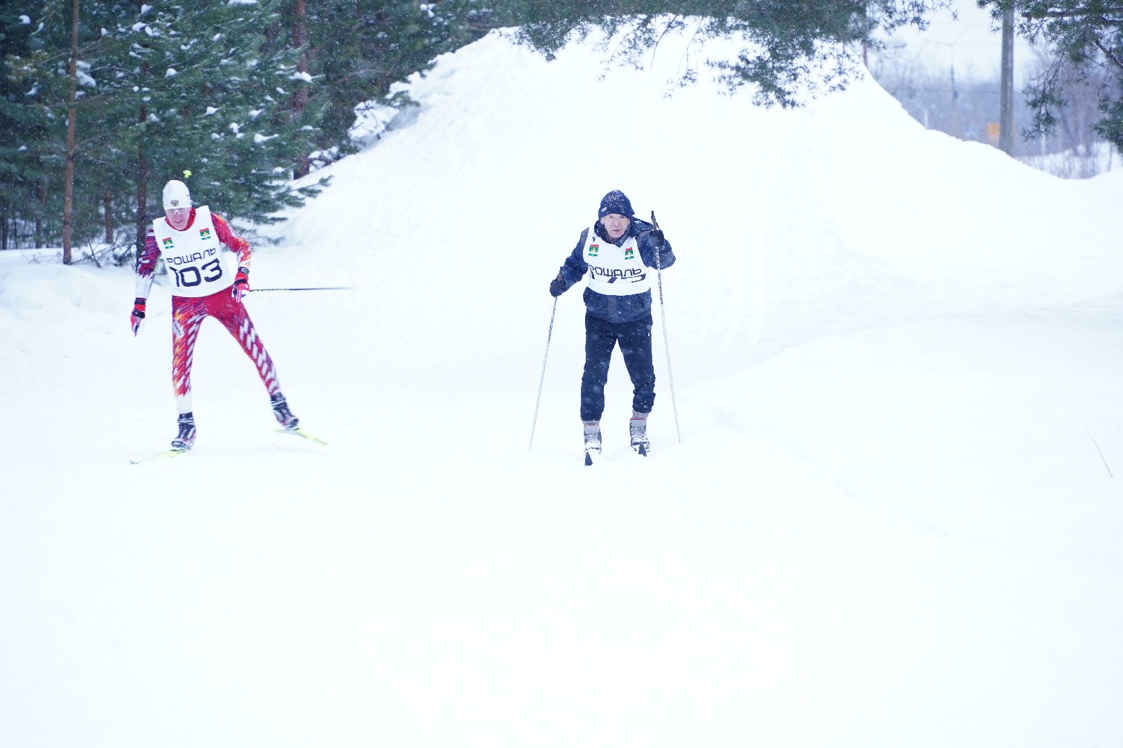 Рошаль, лыжные гонки, соревнования, соревнования памяти тренеров, спортивная школа, Большая Шатура, Егорьевск,