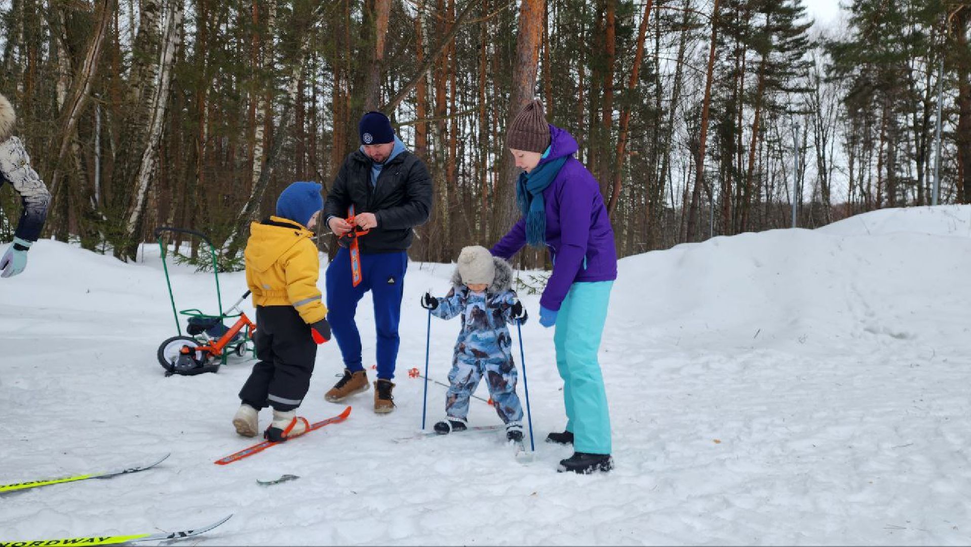 пущино, спорт,