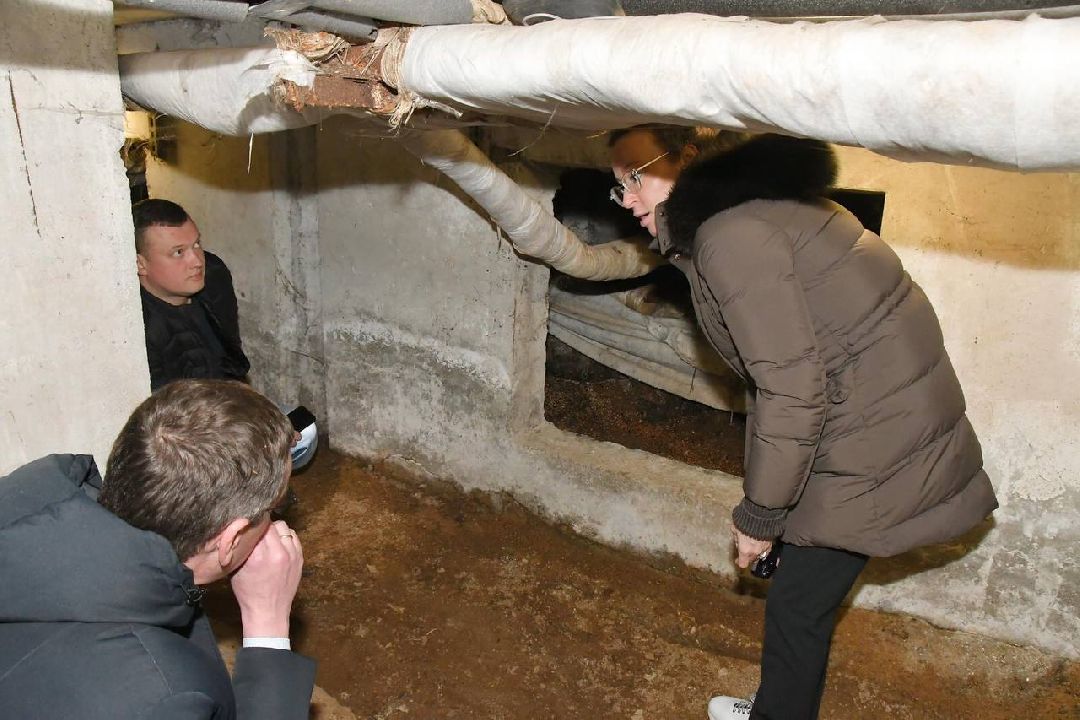 ЖКХ, власиха, ГЖИ, Ольга Федина, инспеция, благоустройство, онлайнголосование