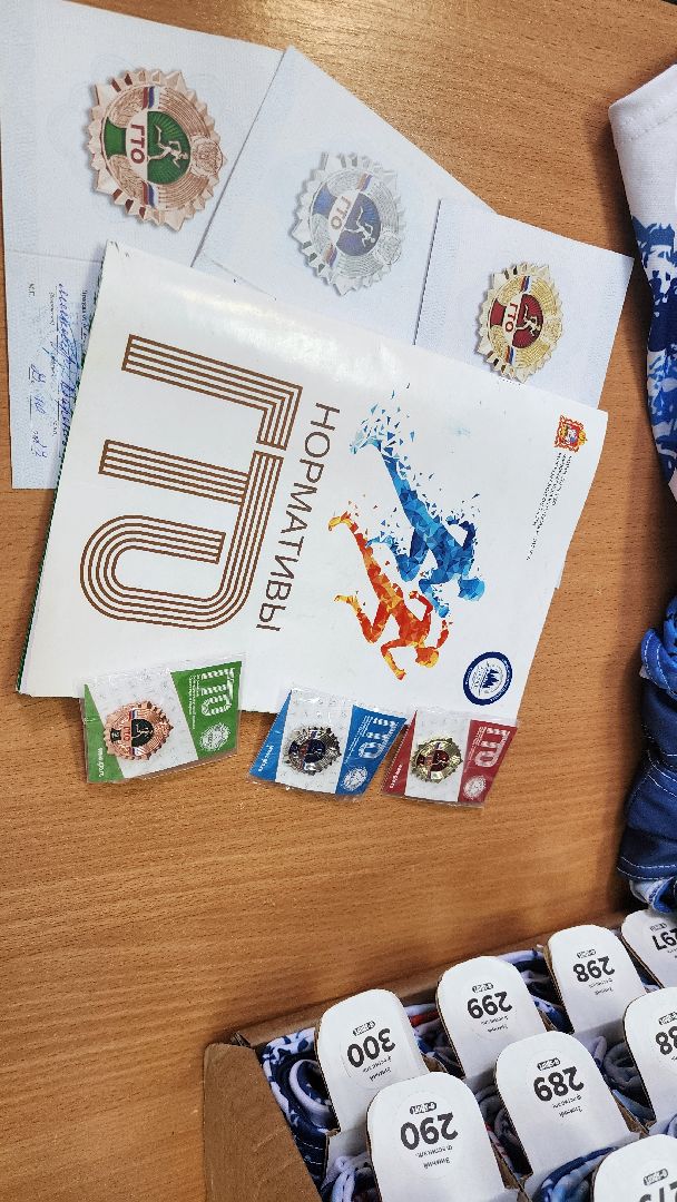 подольск, гто,