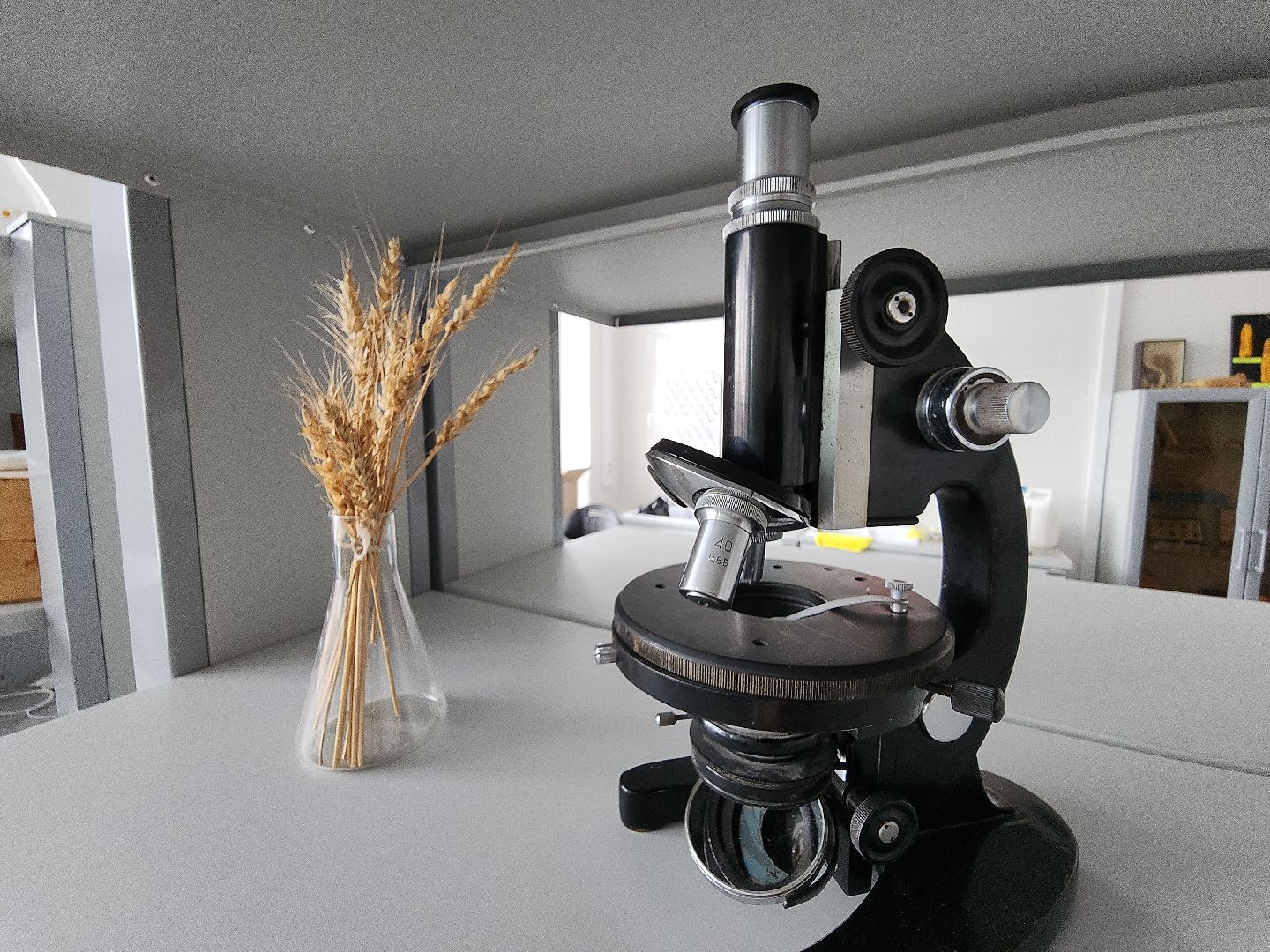 коломна, коломенская ягода, агроколледж, профессионалитет,