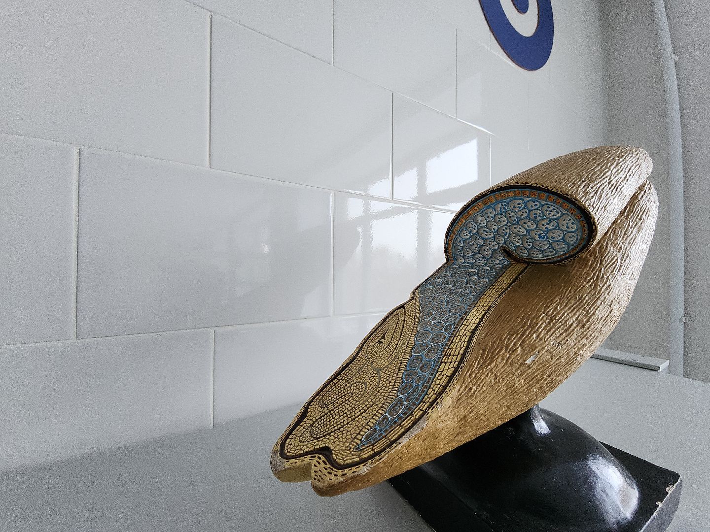 коломна, коломенская ягода, агроколледж, профессионалитет,