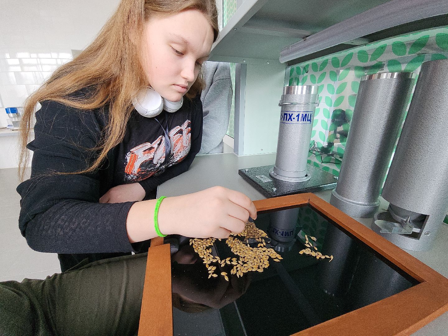 коломна, коломенская ягода, агроколледж, профессионалитет,