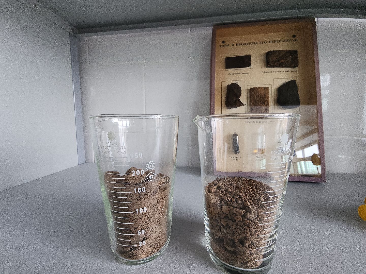 коломна, коломенская ягода, агроколледж, профессионалитет,