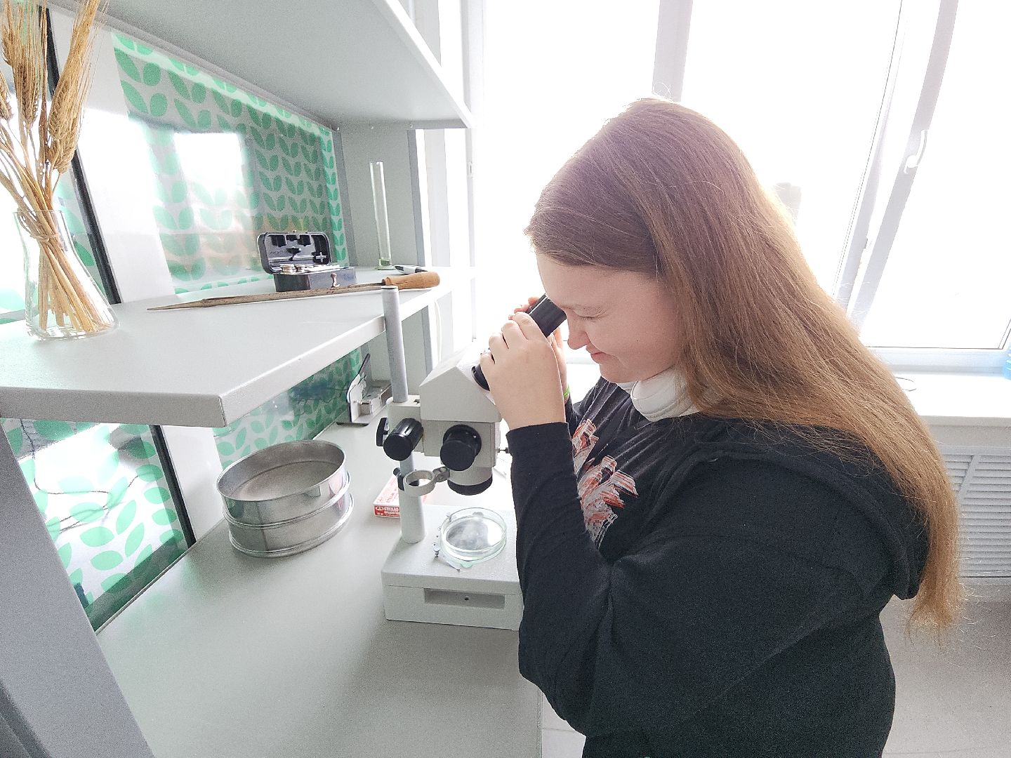 коломна, коломенская ягода, агроколледж, профессионалитет,