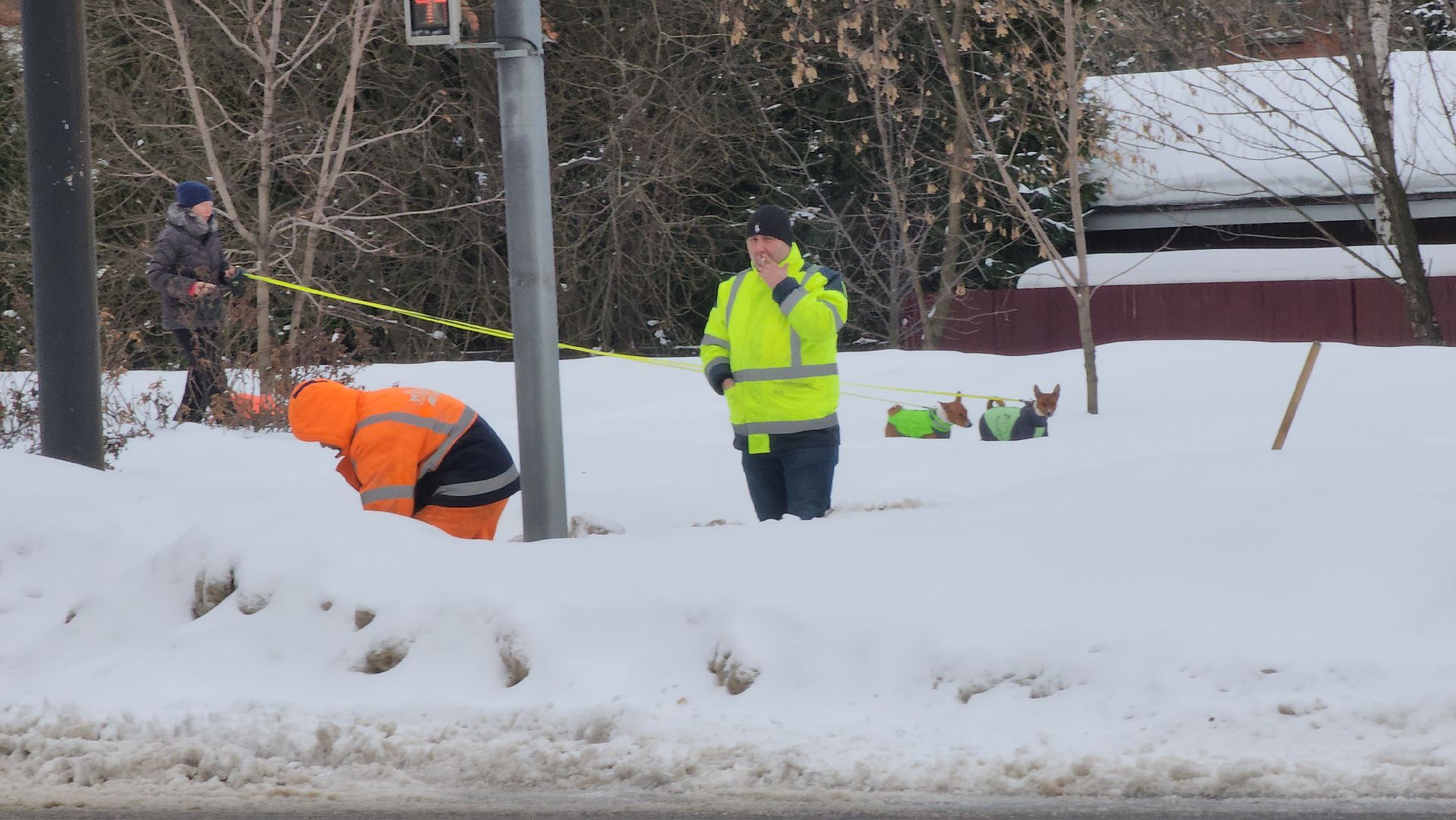 долгопрудный, уборка снега, коммунальная техника,