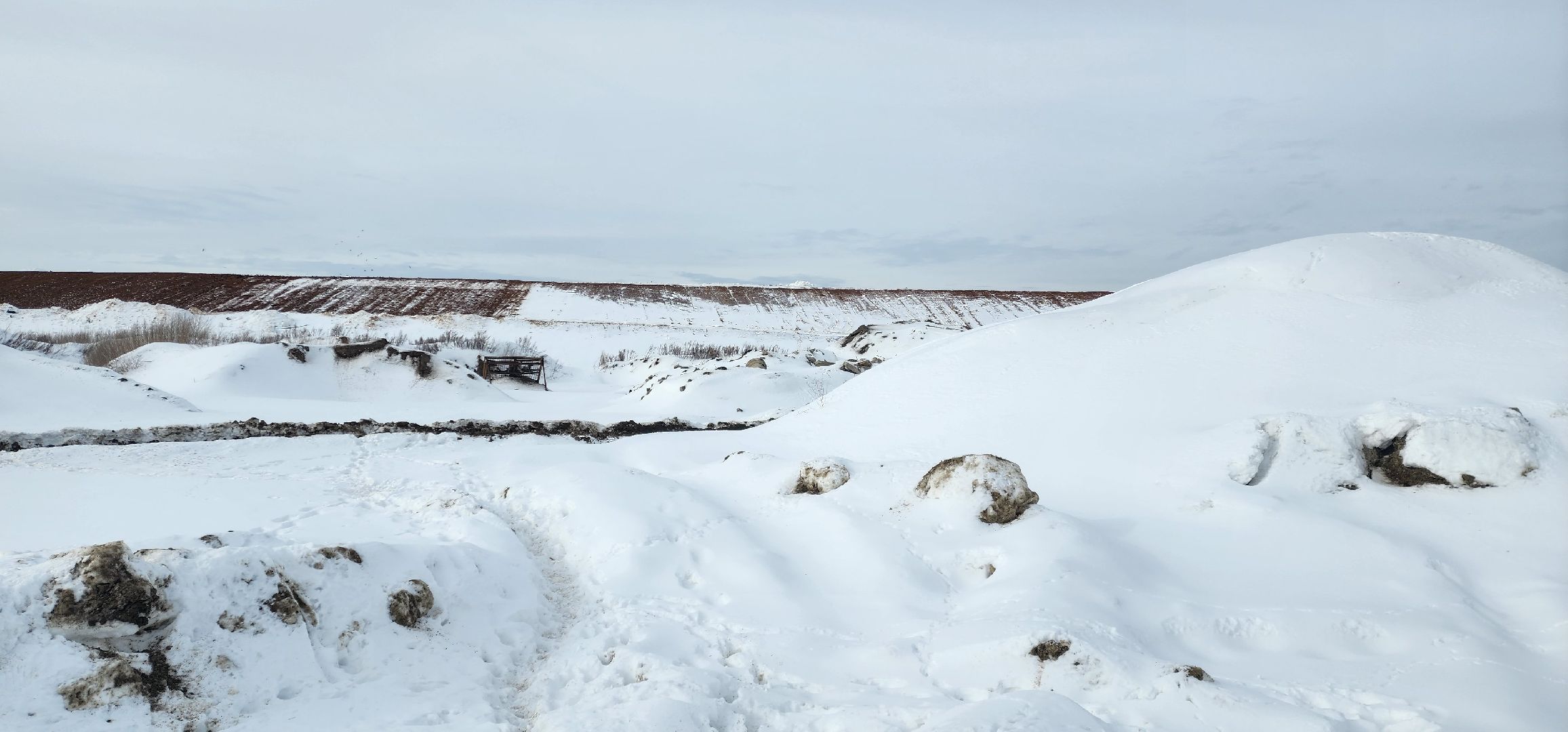 раменское, экология, рекультивация полигона ТБО Сафоново,
