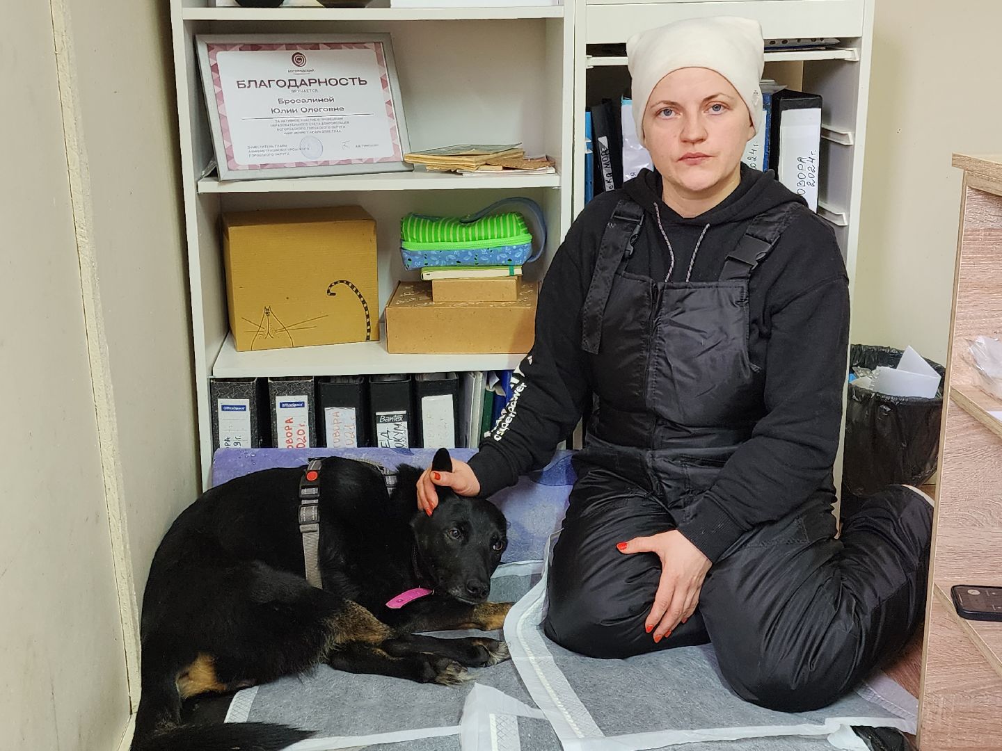 Ногинск, приют, собаки, волонтер,